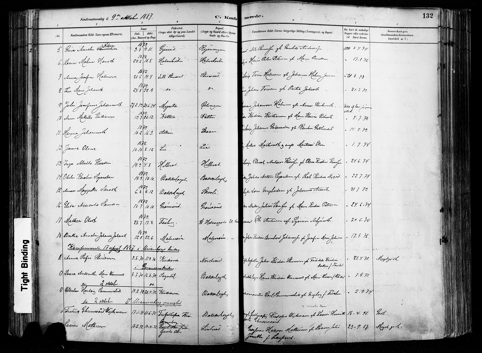 Østre Aker prestekontor Kirkebøker, AV/SAO-A-10840/F/Fa/L0008: Parish register (official) no. I 8, 1883-1894, p. 132