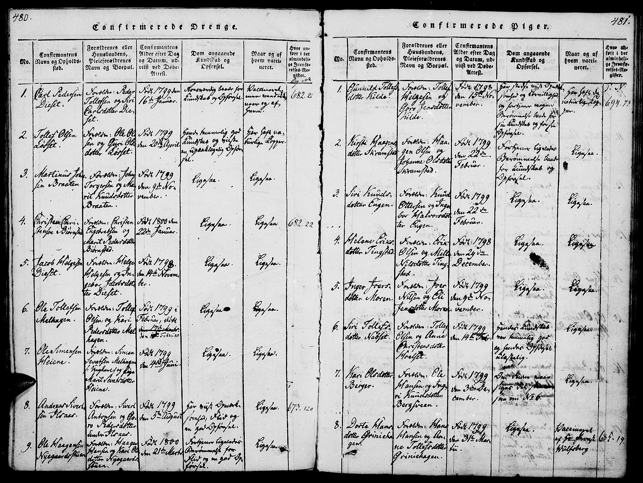 Åmot prestekontor, Hedmark, SAH/PREST-056/H/Ha/Haa/L0005: Parish register (official) no. 5, 1815-1841, p. 480-481