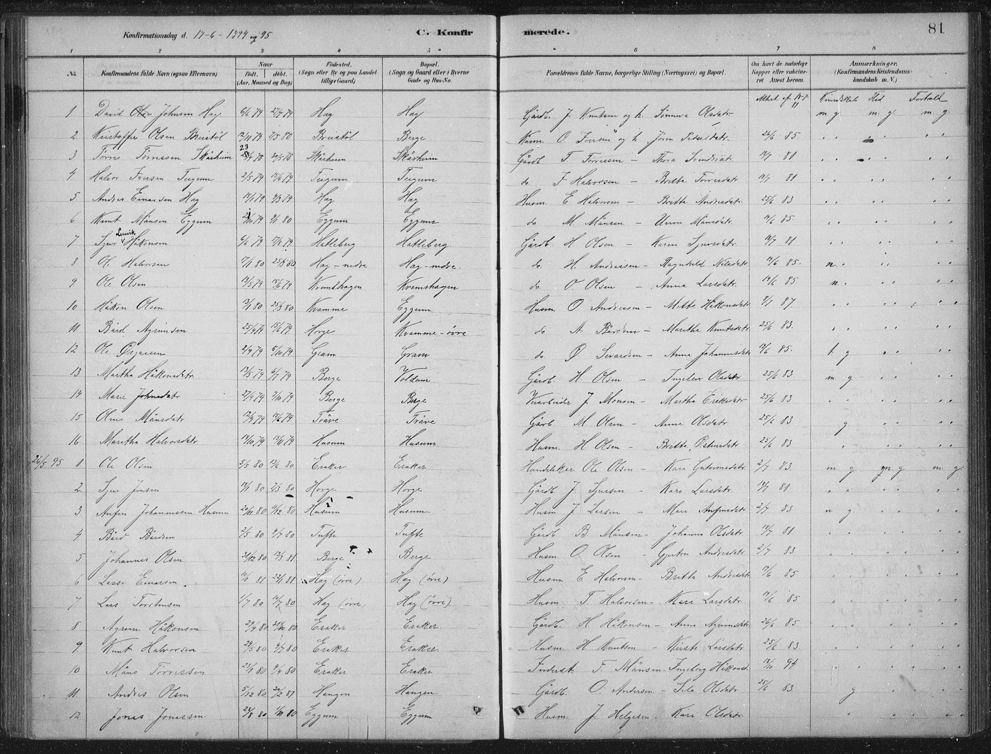 Lærdal sokneprestembete, SAB/A-81201: Parish register (official) no. C  1, 1878-1911, p. 81