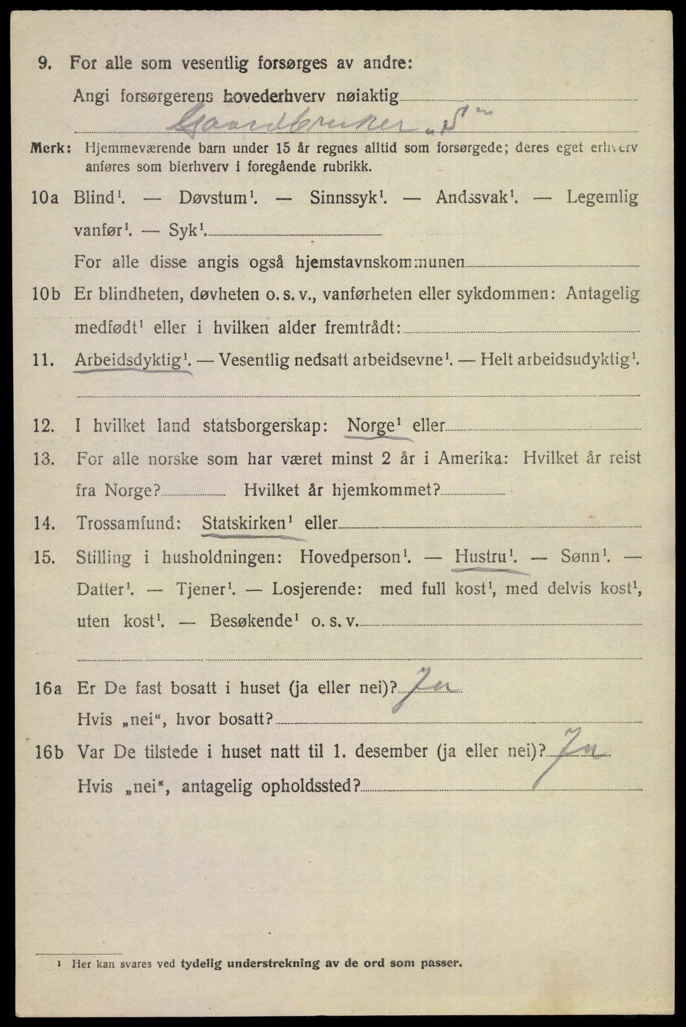 SAKO, 1920 census for Nes (Buskerud), 1920, p. 5199