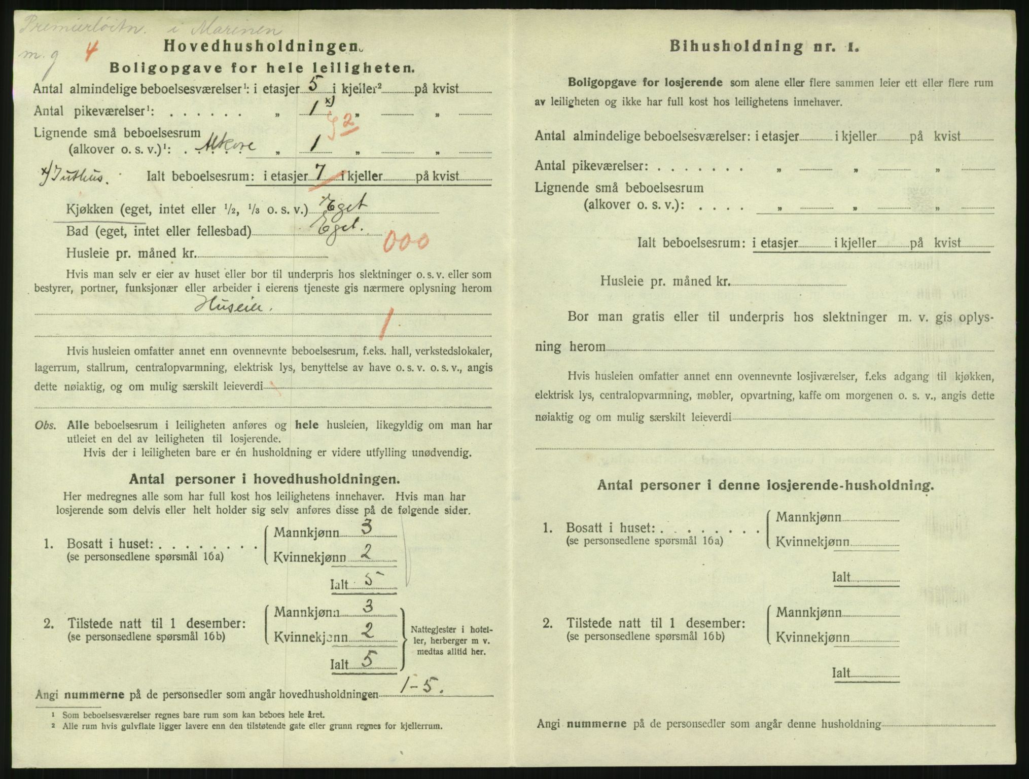 SAKO, 1920 census for Horten, 1920, p. 3802