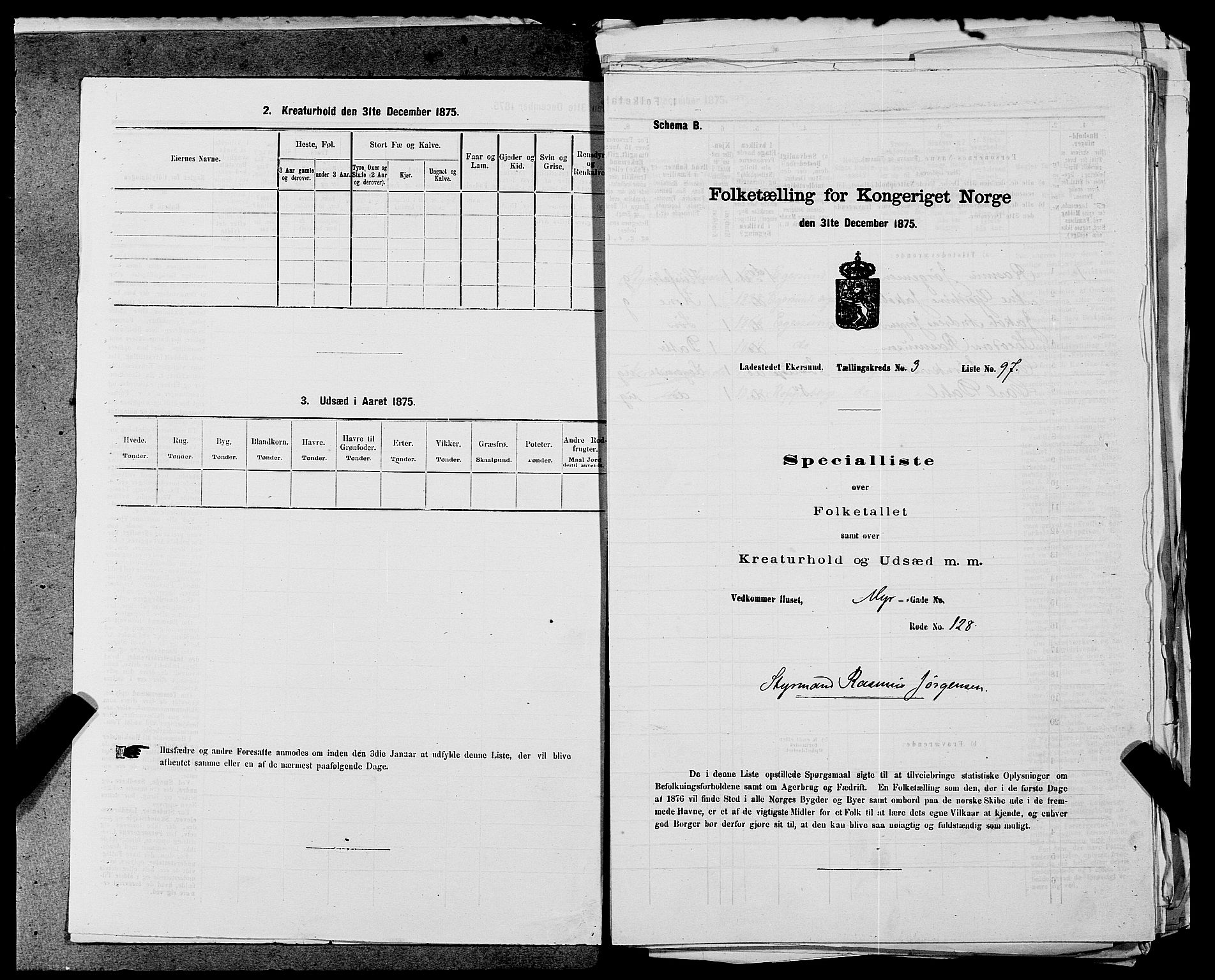 SAST, 1875 census for 1101B Eigersund parish, Egersund town, 1875, p. 206