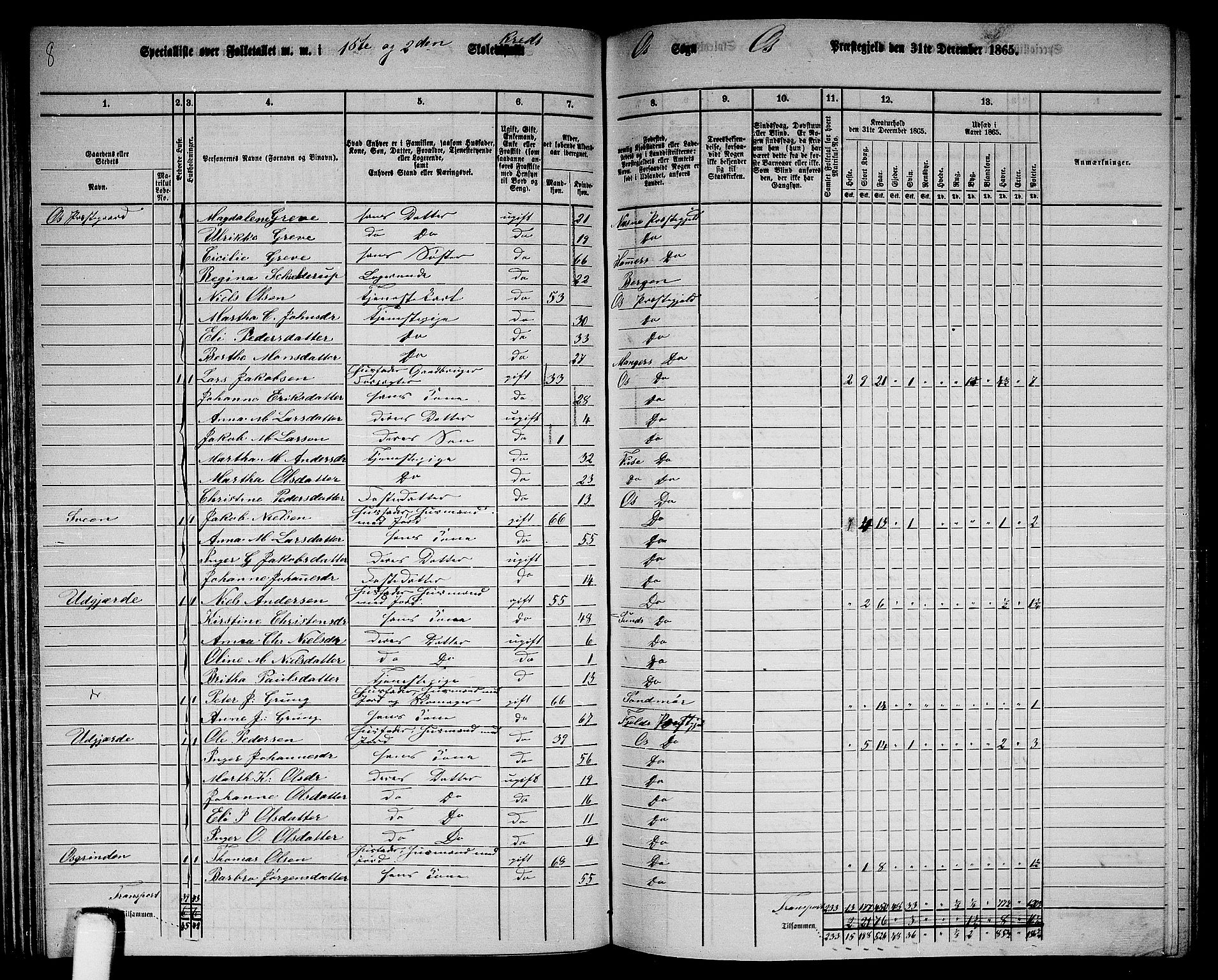 RA, 1865 census for Os, 1865, p. 72