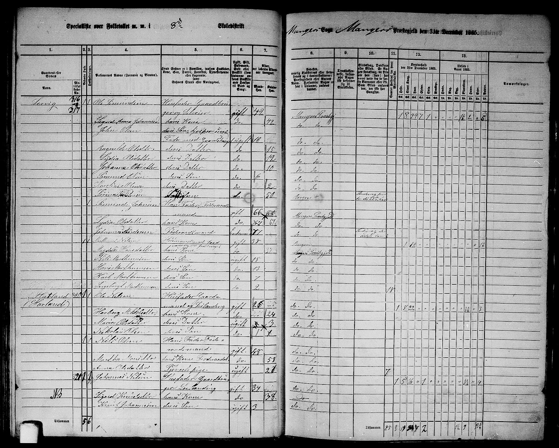 RA, 1865 census for Manger, 1865, p. 74