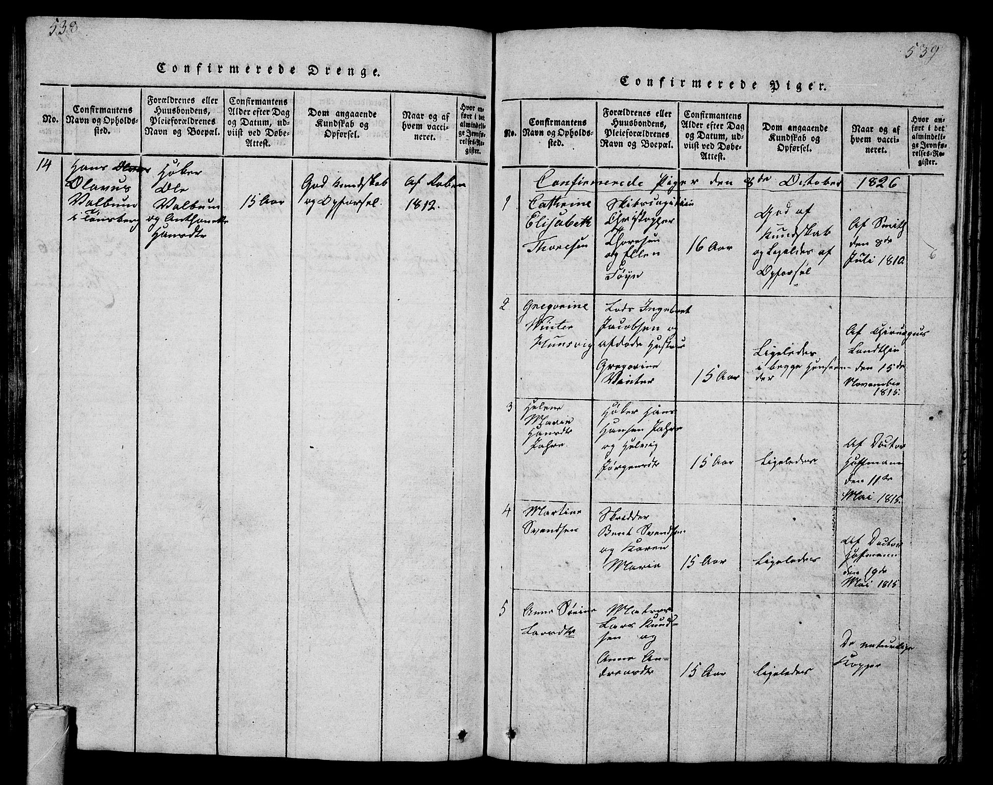 Tønsberg kirkebøker, AV/SAKO-A-330/G/Ga/L0001: Parish register (copy) no. 1, 1813-1826, p. 538-539