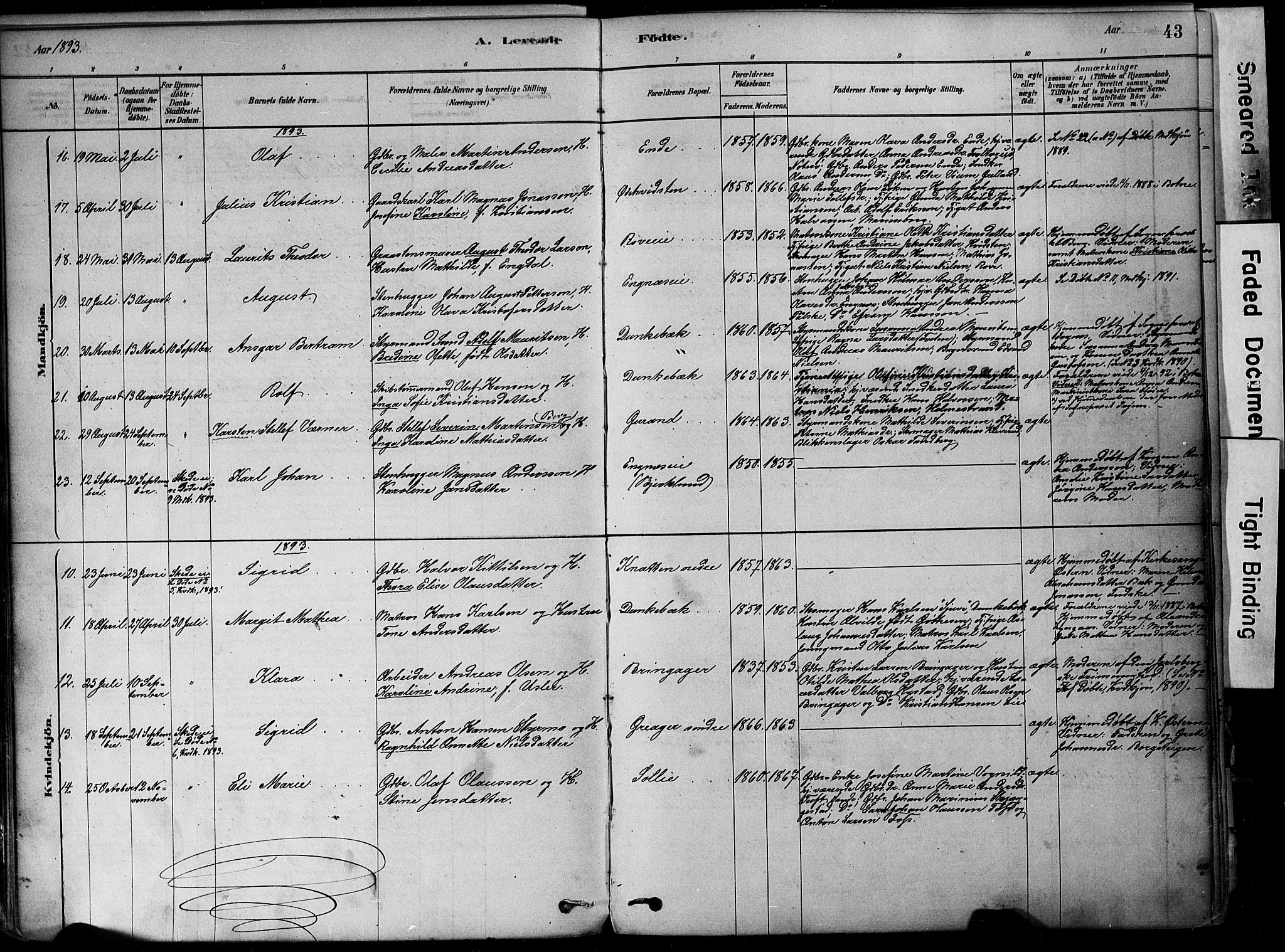 Botne kirkebøker, AV/SAKO-A-340/F/Fa/L0007: Parish register (official) no. I 7, 1878-1910, p. 43