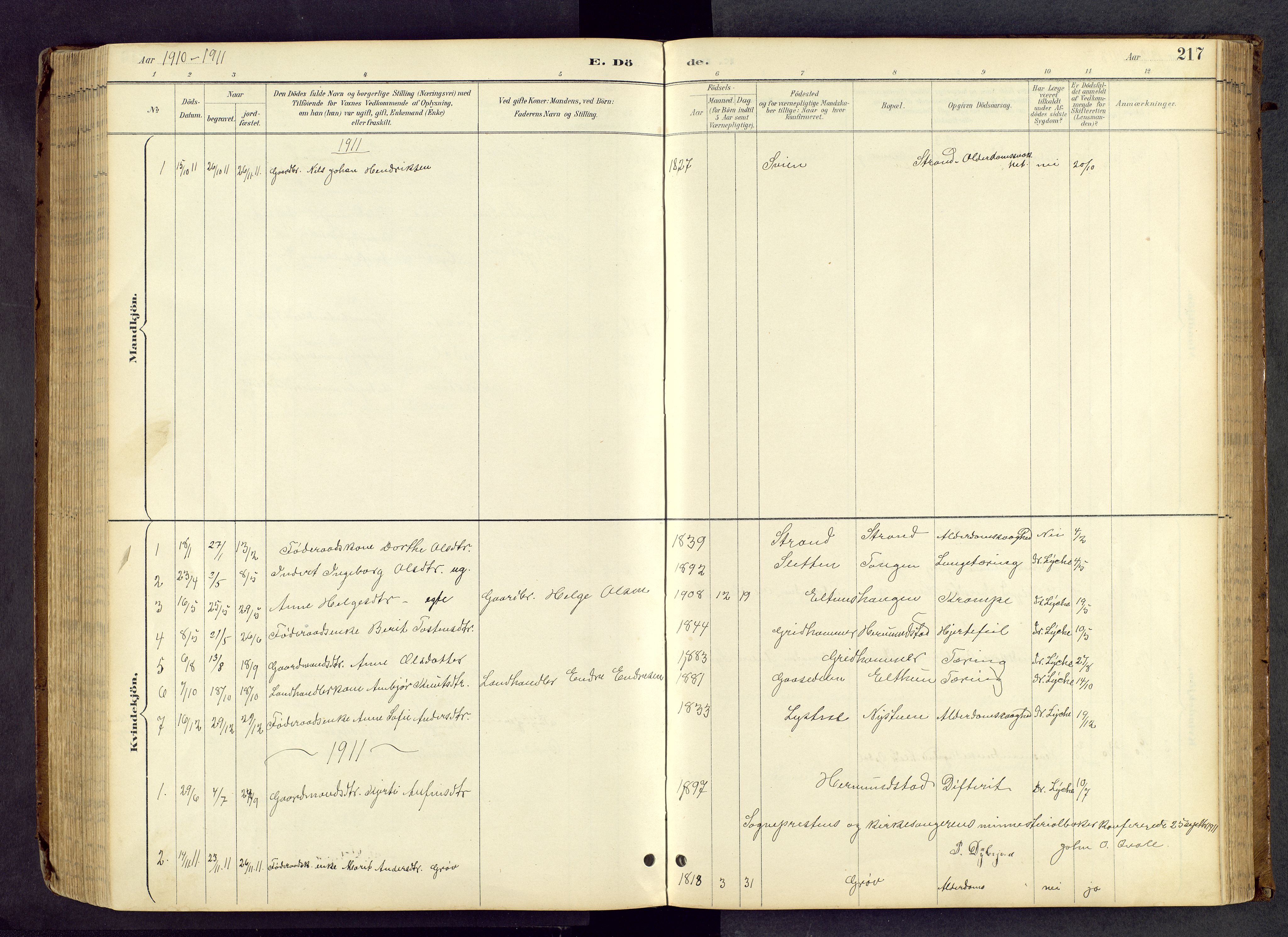 Vang prestekontor, Valdres, SAH/PREST-140/H/Hb/L0005: Parish register (copy) no. 5, 1889-1945, p. 217