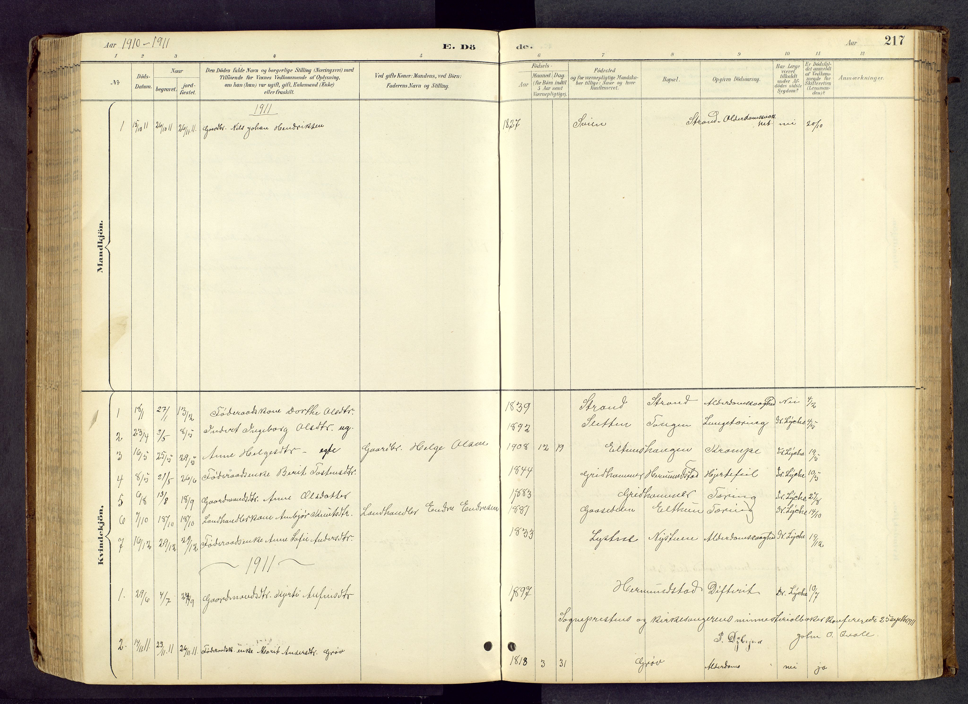 Vang prestekontor, Valdres, AV/SAH-PREST-140/H/Hb/L0005: Parish register (copy) no. 5, 1889-1945, p. 217