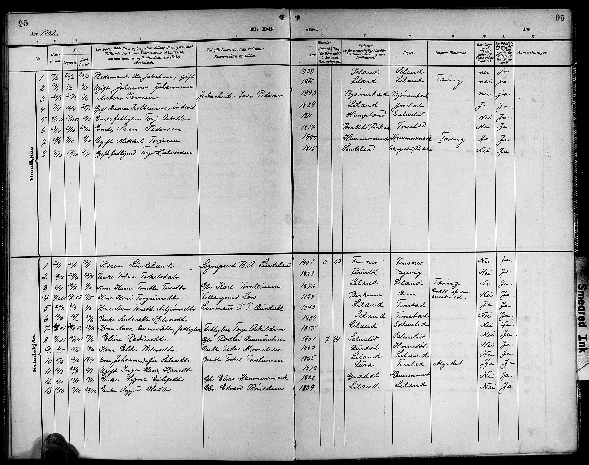 Sirdal sokneprestkontor, AV/SAK-1111-0036/F/Fb/Fbb/L0004: Parish register (copy) no. B 4, 1895-1916, p. 95