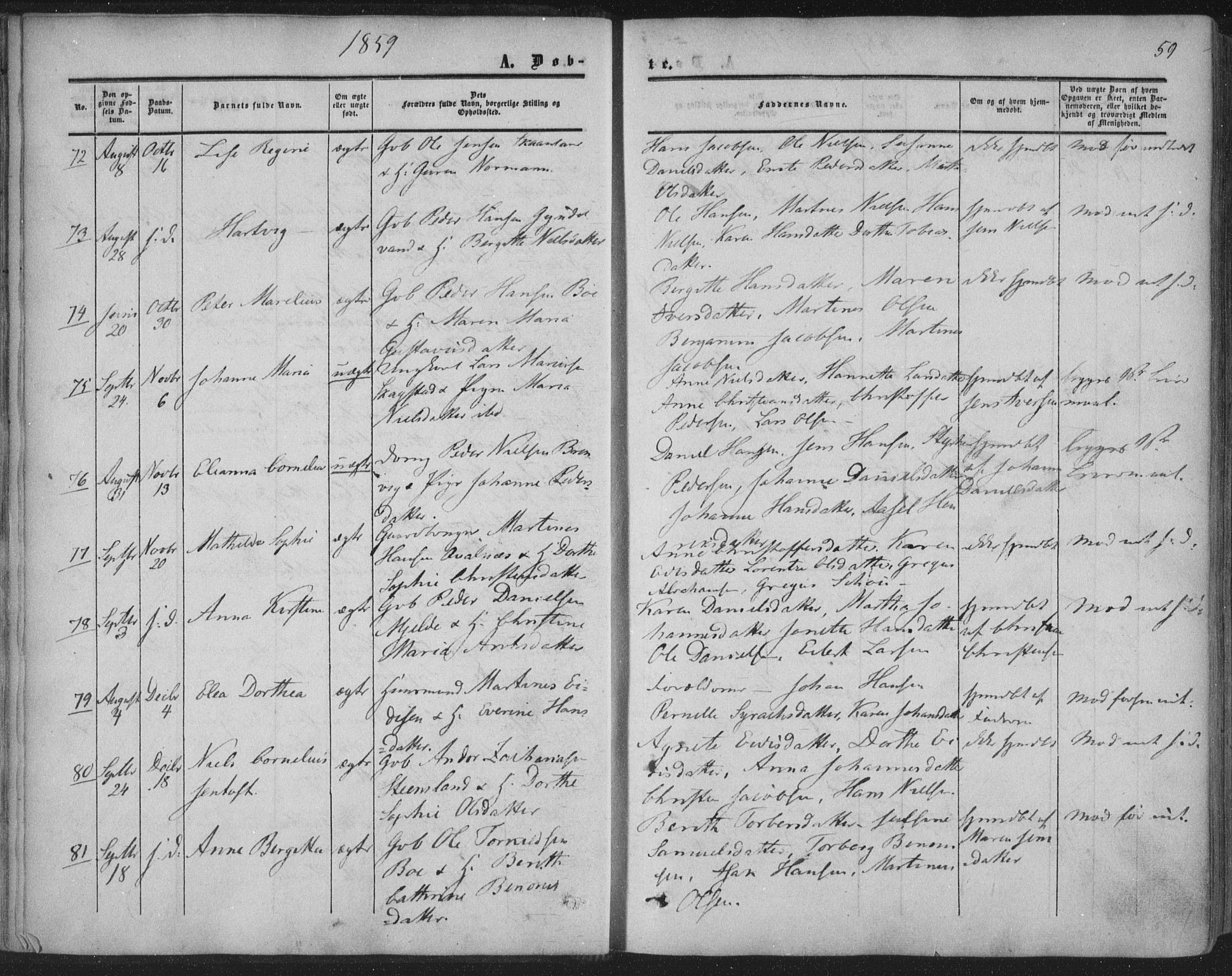 Ministerialprotokoller, klokkerbøker og fødselsregistre - Nordland, AV/SAT-A-1459/855/L0800: Parish register (official) no. 855A08, 1852-1864, p. 59