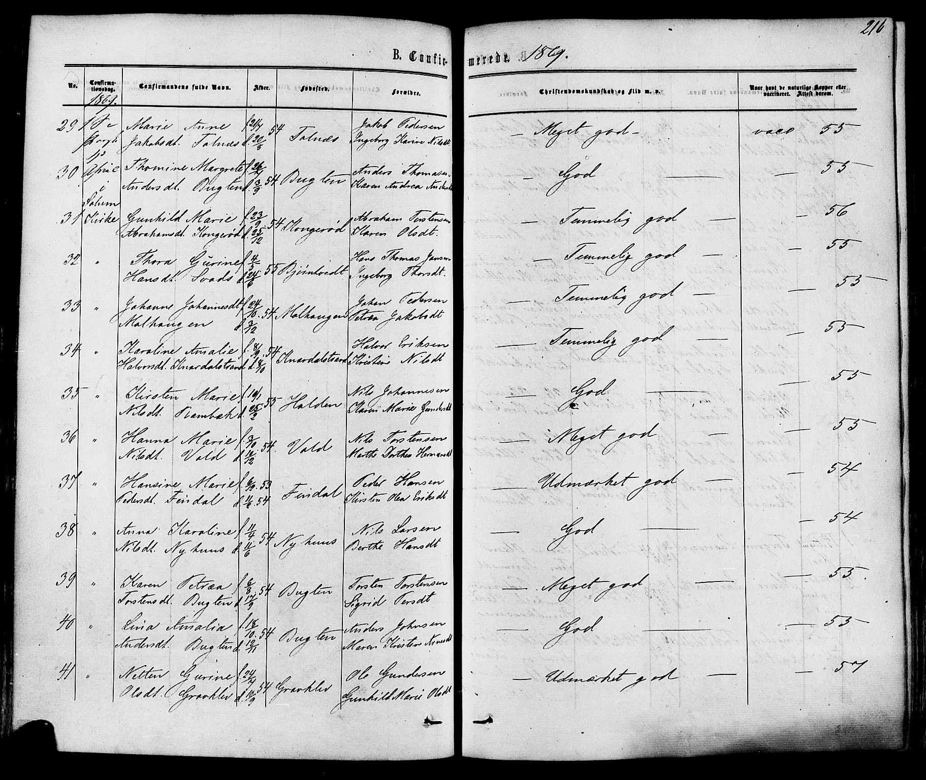 Solum kirkebøker, AV/SAKO-A-306/F/Fa/L0008: Parish register (official) no. I 8, 1865-1876, p. 216