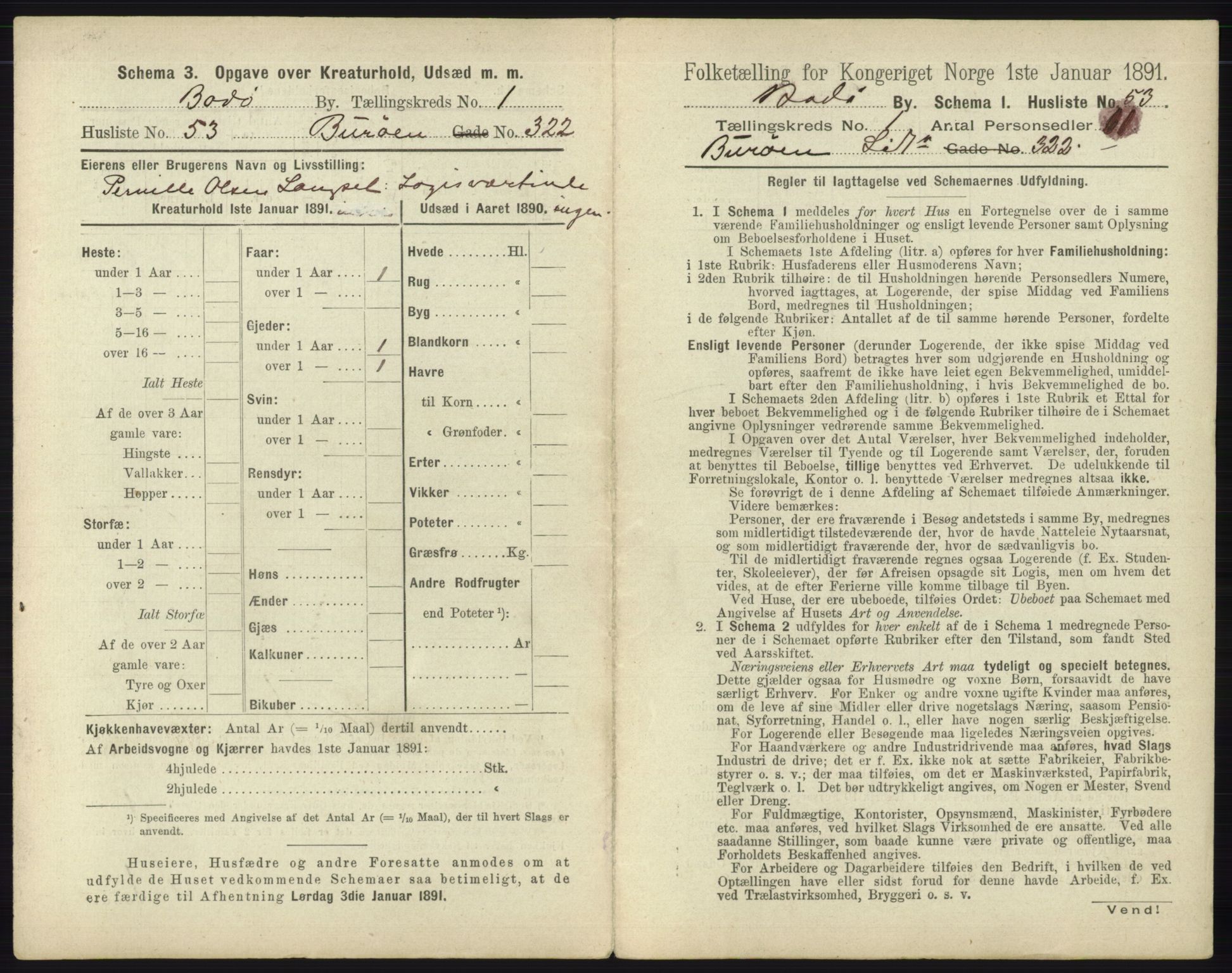 RA, 1891 census for 1804 Bodø, 1891, p. 121