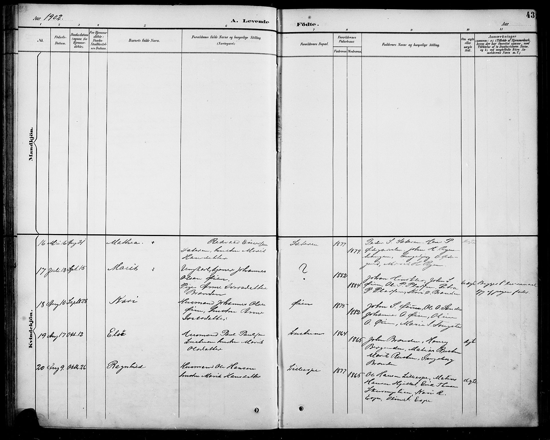 Sel prestekontor, SAH/PREST-074/H/Ha/Hab/L0005: Parish register (copy) no. 5, 1894-1923, p. 43
