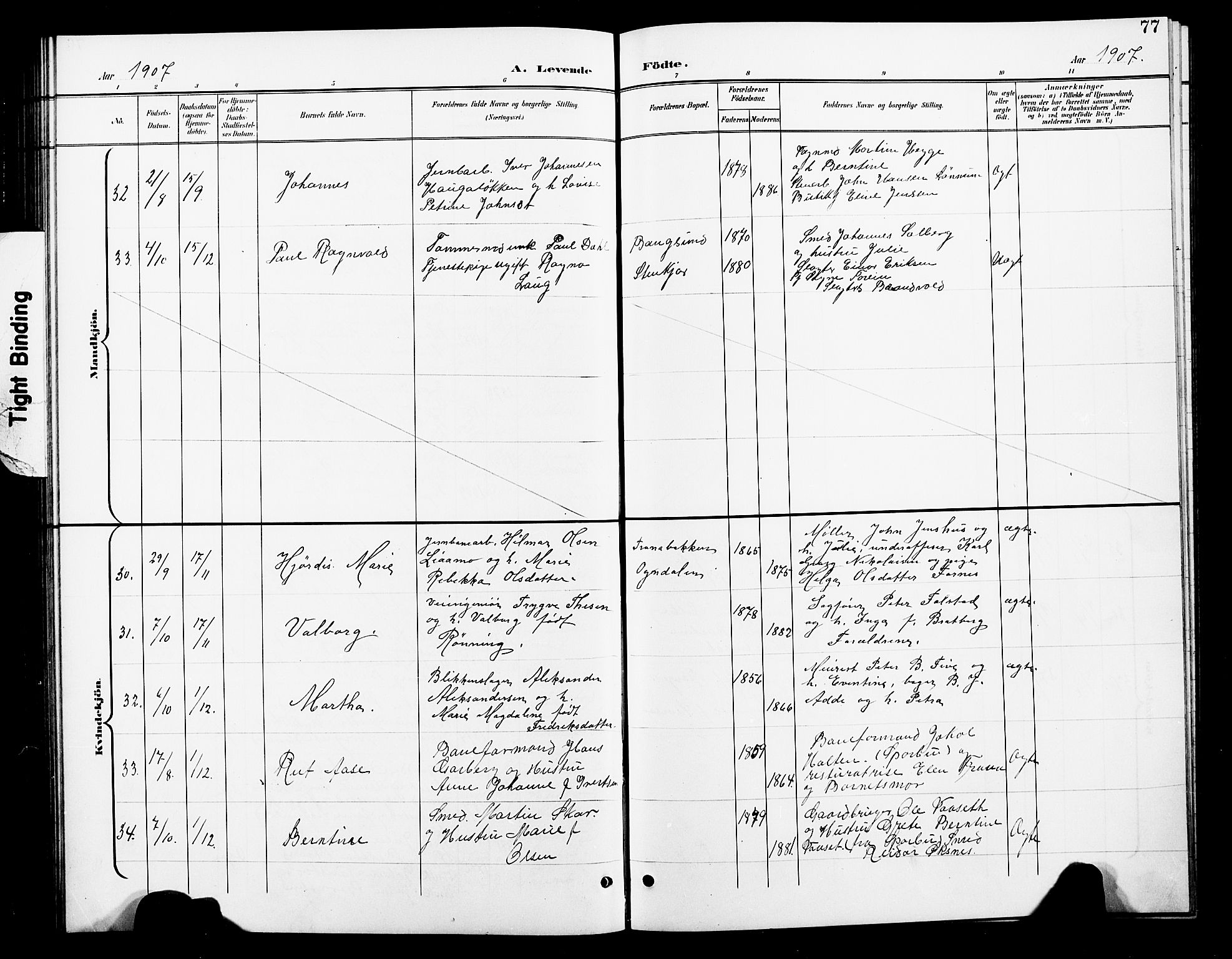 Ministerialprotokoller, klokkerbøker og fødselsregistre - Nord-Trøndelag, AV/SAT-A-1458/739/L0375: Parish register (copy) no. 739C03, 1898-1908, p. 77