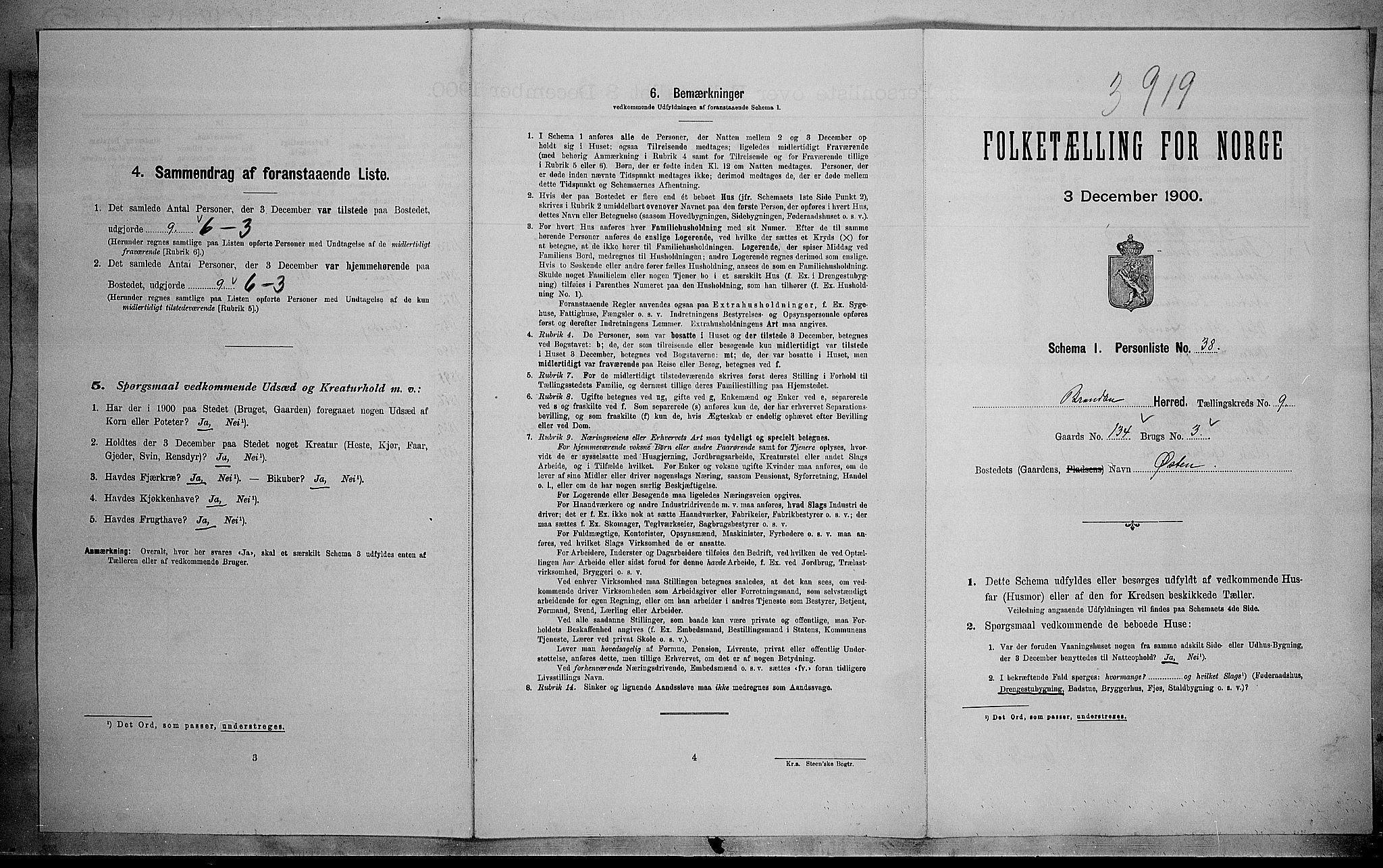 SAH, 1900 census for Brandbu, 1900, p. 1350