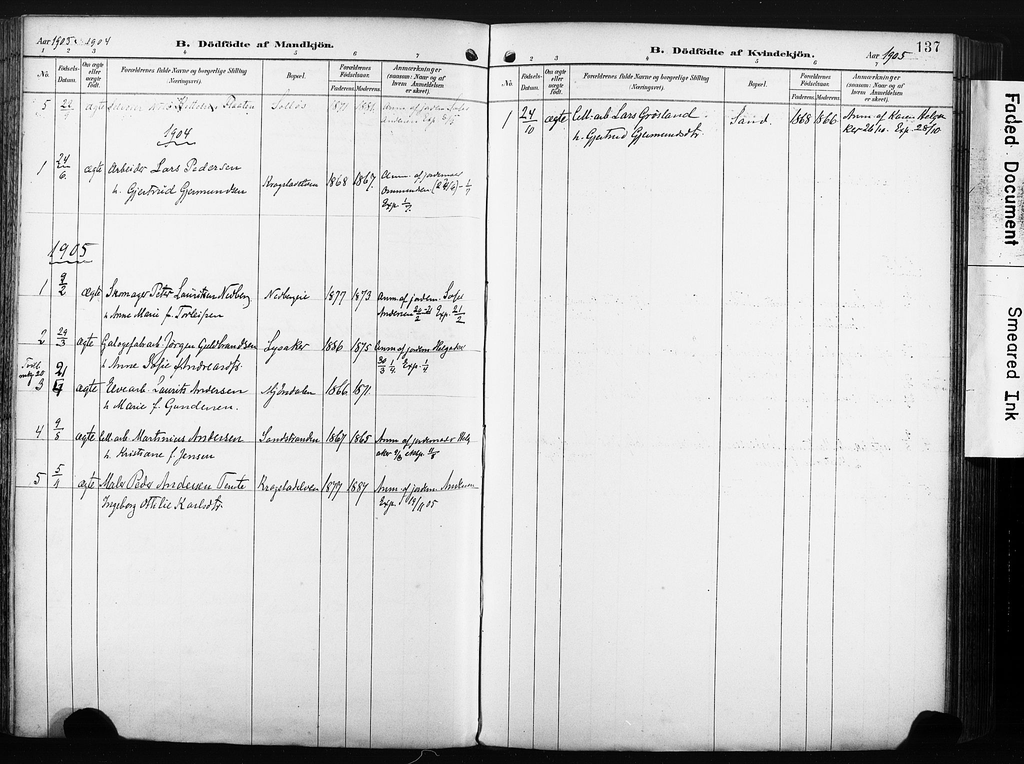 Nedre Eiker kirkebøker, AV/SAKO-A-612/F/Fa/L0005: Parish register (official) no. 5, 1898-1905, p. 137