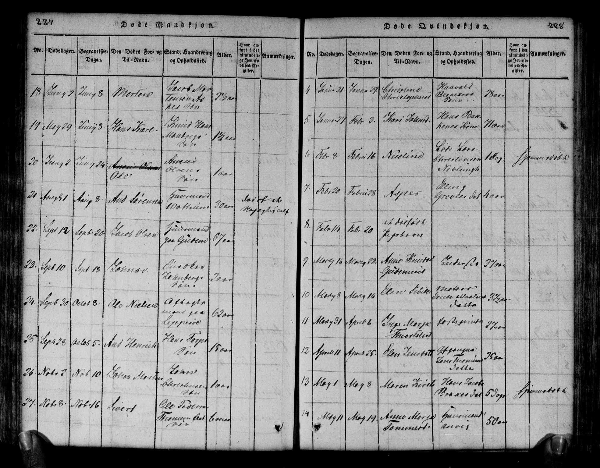 Brunlanes kirkebøker, SAKO/A-342/G/Ga/L0001: Parish register (copy) no. I 1, 1814-1834, p. 227-228