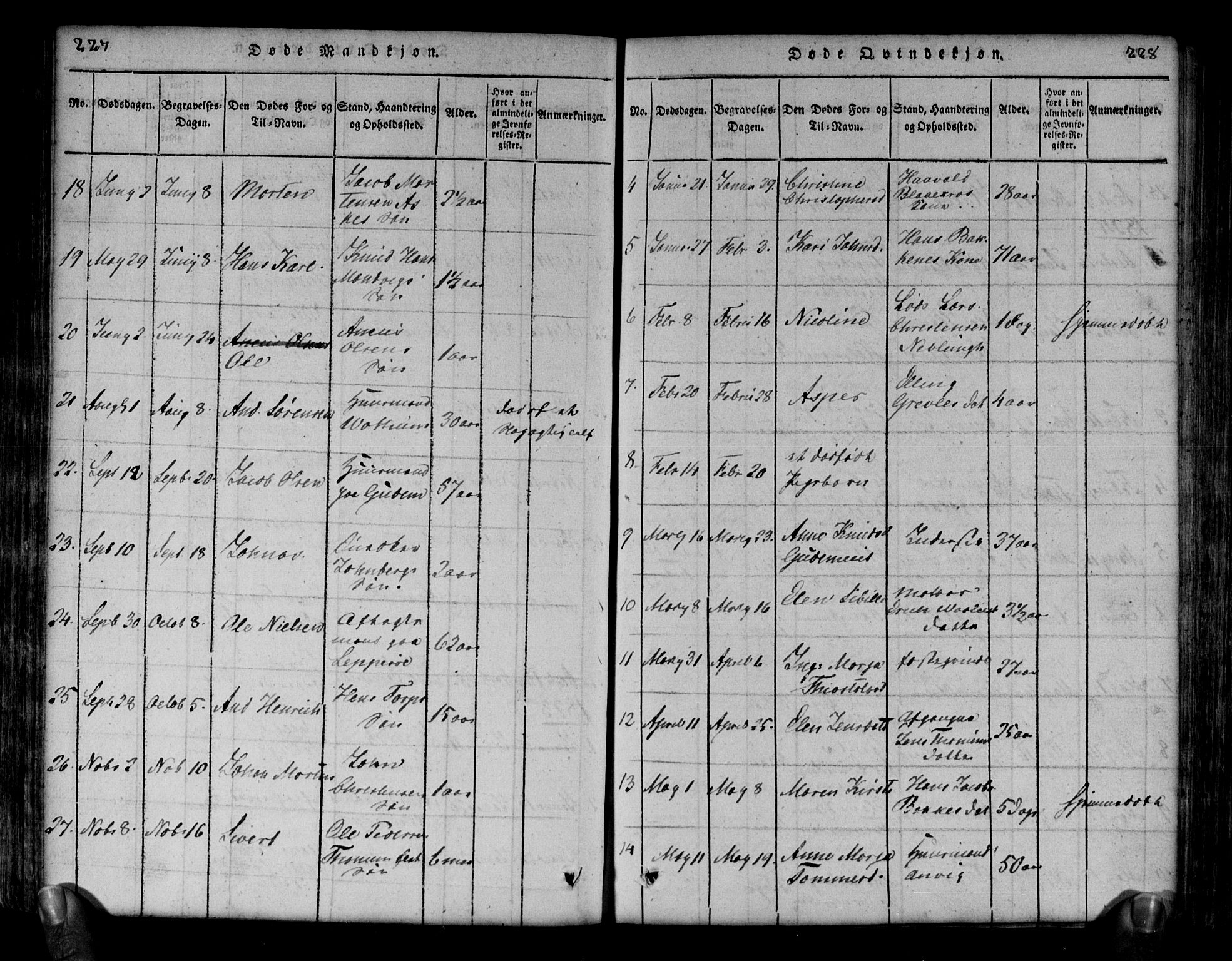 Brunlanes kirkebøker, AV/SAKO-A-342/G/Ga/L0001: Parish register (copy) no. I 1, 1814-1834, p. 227-228