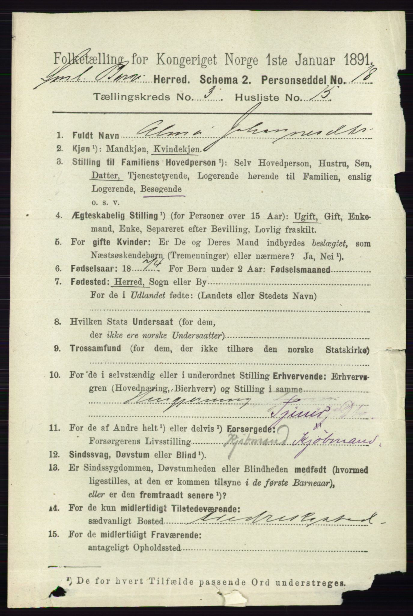 RA, 1891 census for 0113 Borge, 1891, p. 1555