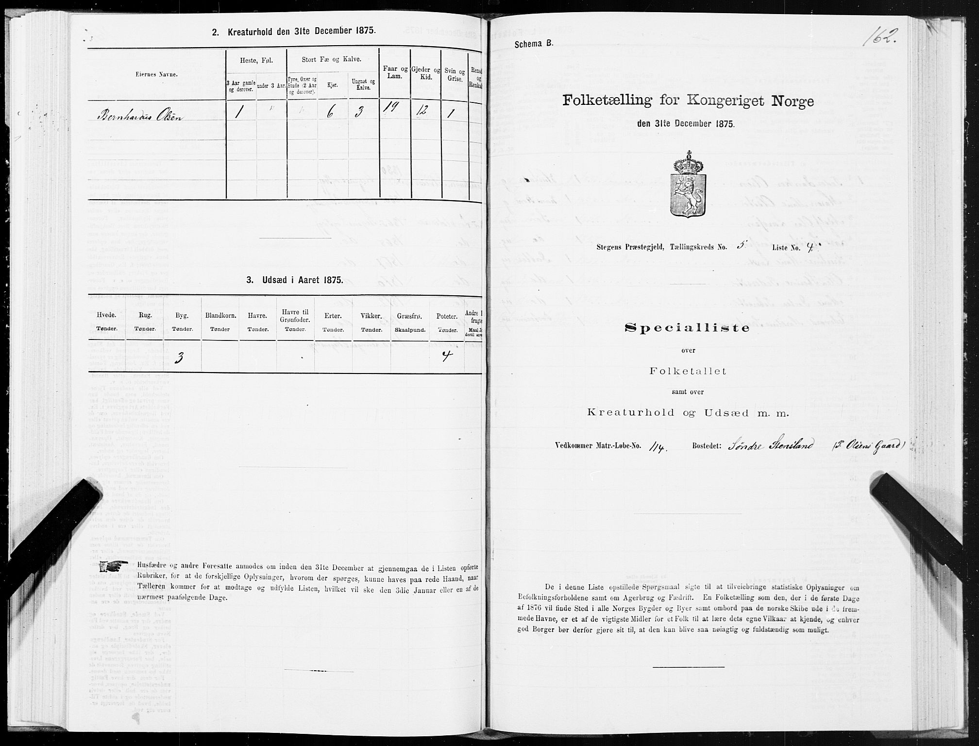 SAT, 1875 census for 1848P Steigen, 1875, p. 2162