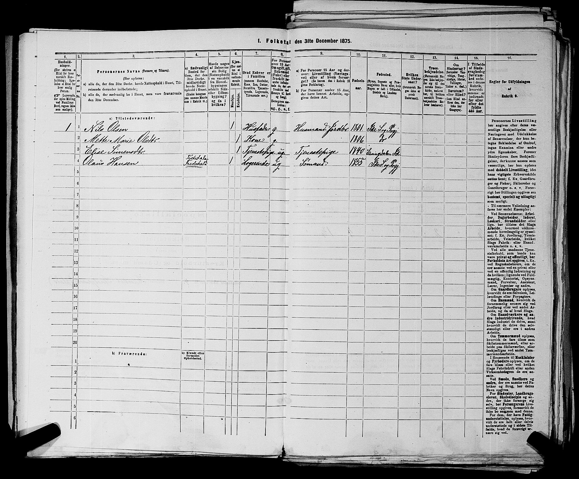RA, 1875 census for 0117P Idd, 1875, p. 53
