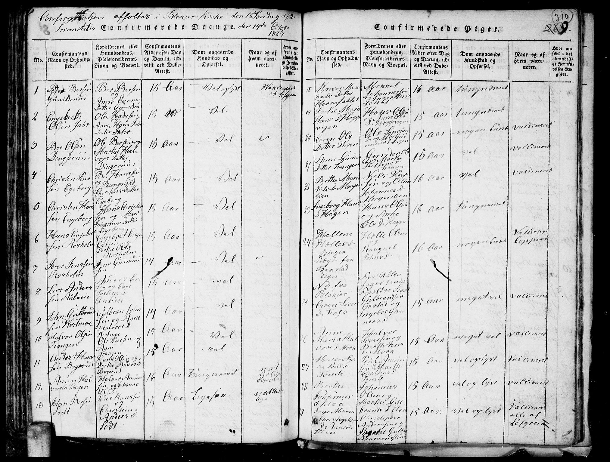 Aurskog prestekontor Kirkebøker, SAO/A-10304a/G/Ga/L0001: Parish register (copy) no. I 1, 1814-1829, p. 310