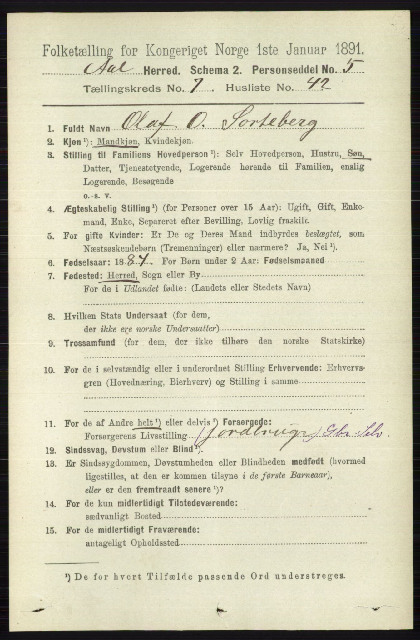 RA, 1891 census for 0619 Ål, 1891, p. 2020