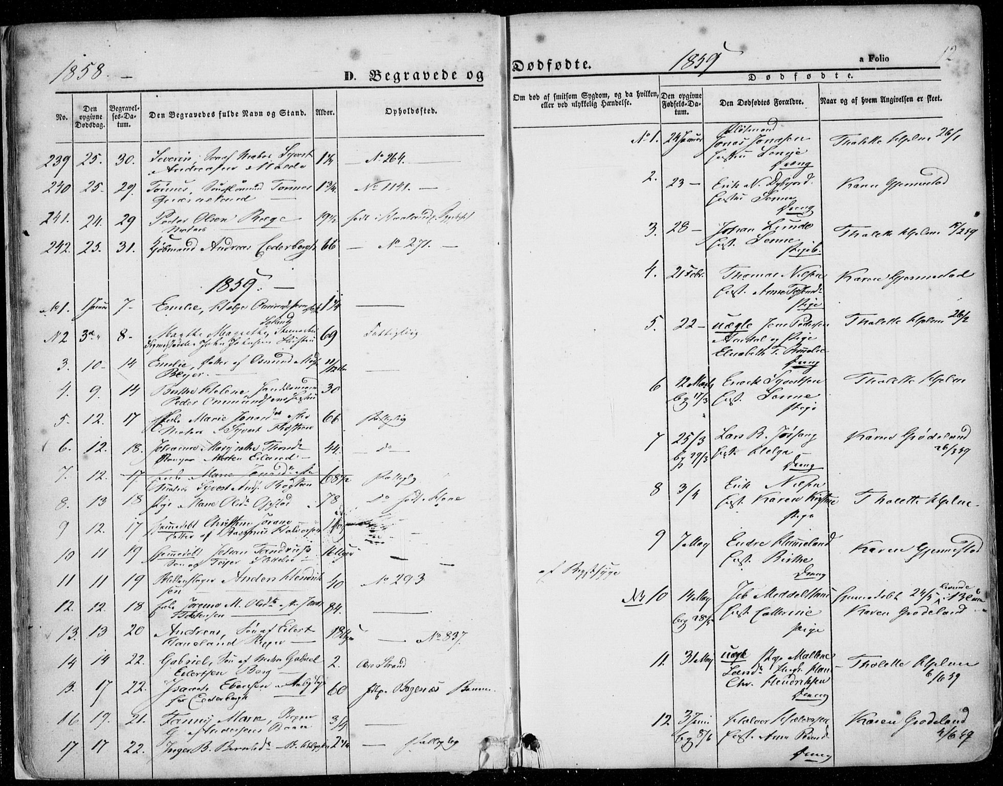 Domkirken sokneprestkontor, SAST/A-101812/001/30/30BA/L0020: Parish register (official) no. A 19, 1858-1877, p. 12