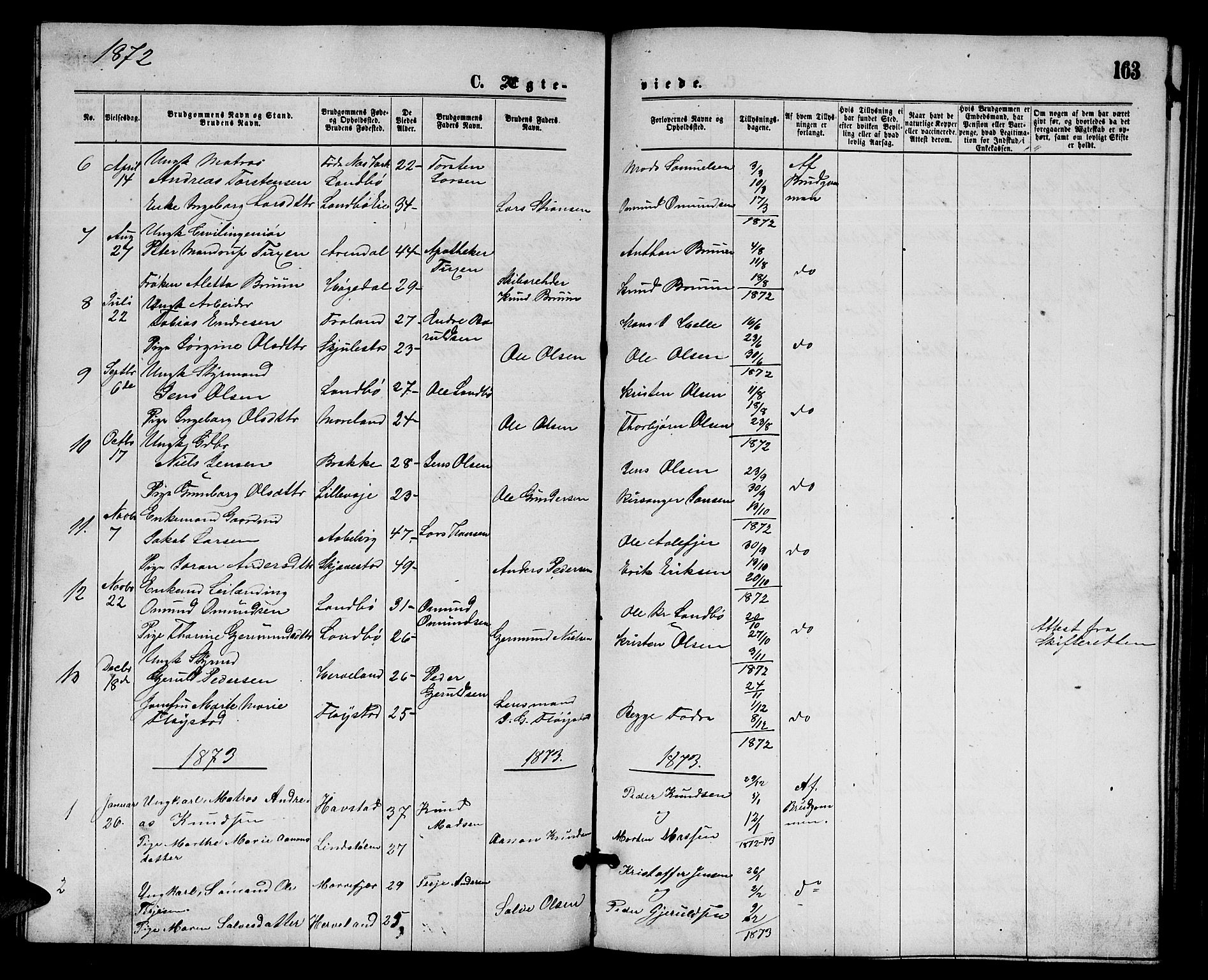 Austre Moland sokneprestkontor, AV/SAK-1111-0001/F/Fb/Fba/L0002: Parish register (copy) no. B 2, 1869-1879, p. 163