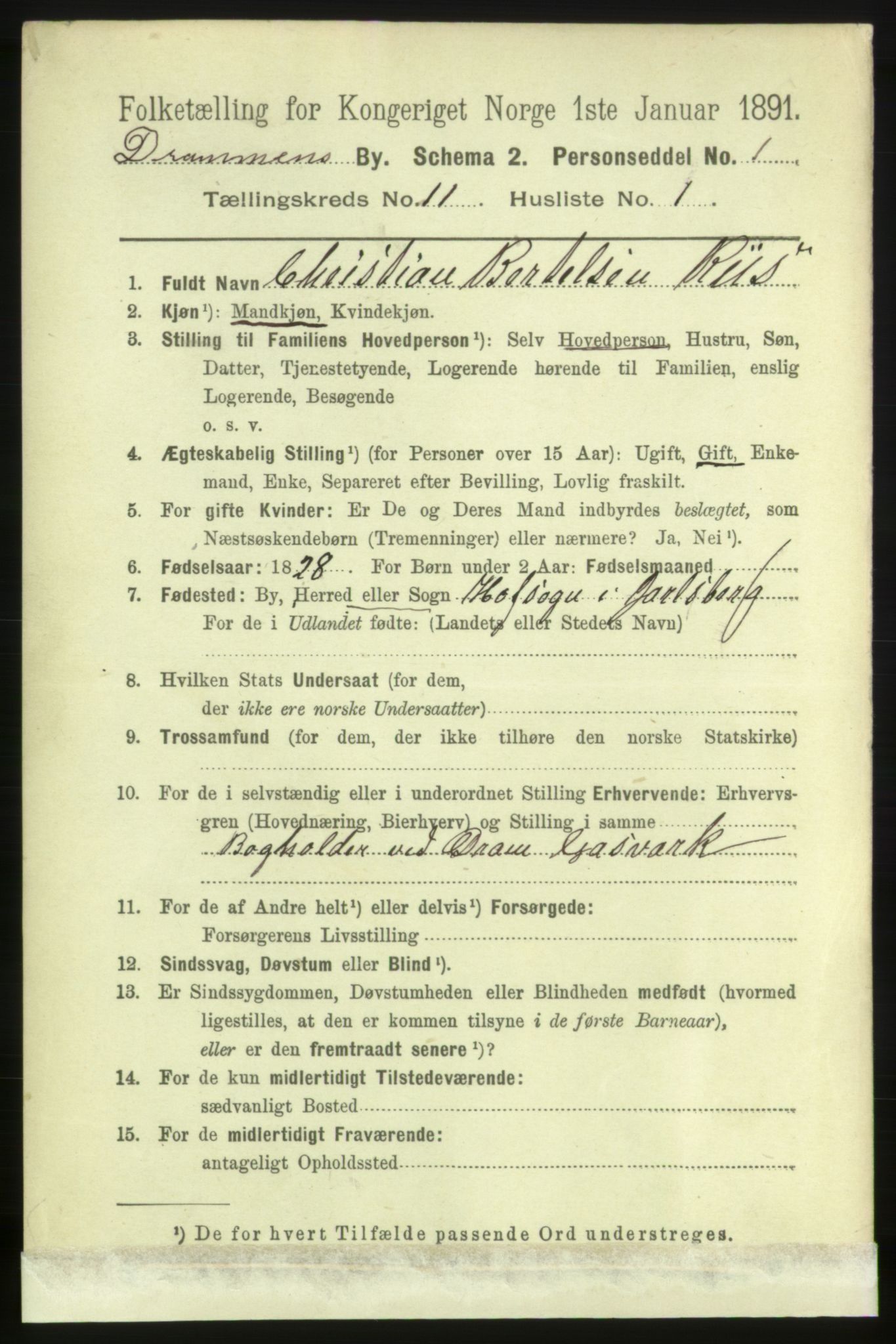 RA, 1891 census for 0602 Drammen, 1891, p. 8332