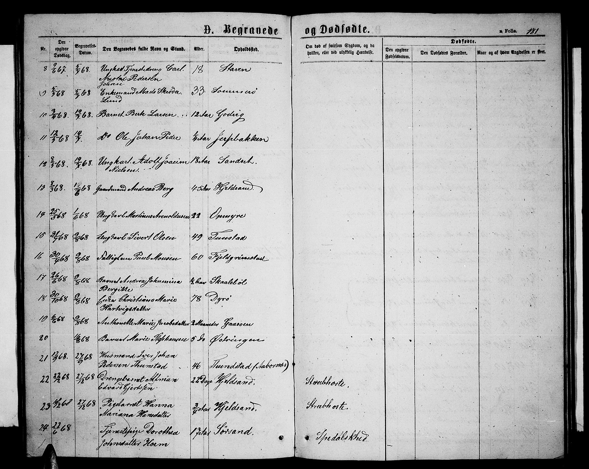 Ministerialprotokoller, klokkerbøker og fødselsregistre - Nordland, AV/SAT-A-1459/893/L1348: Parish register (copy) no. 893C03, 1867-1877, p. 181