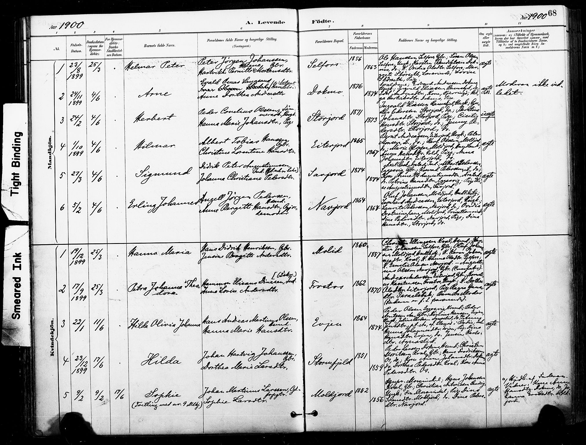 Ministerialprotokoller, klokkerbøker og fødselsregistre - Nordland, AV/SAT-A-1459/846/L0646: Parish register (official) no. 846A04, 1887-1901, p. 68