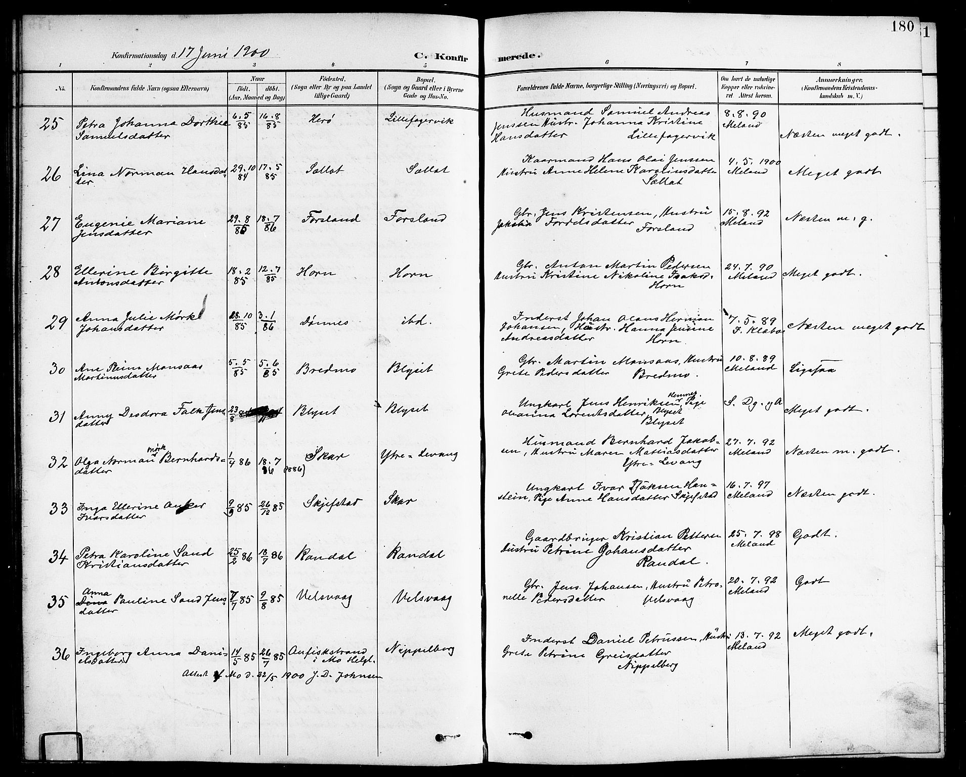 Ministerialprotokoller, klokkerbøker og fødselsregistre - Nordland, SAT/A-1459/838/L0559: Parish register (copy) no. 838C06, 1893-1910, p. 180