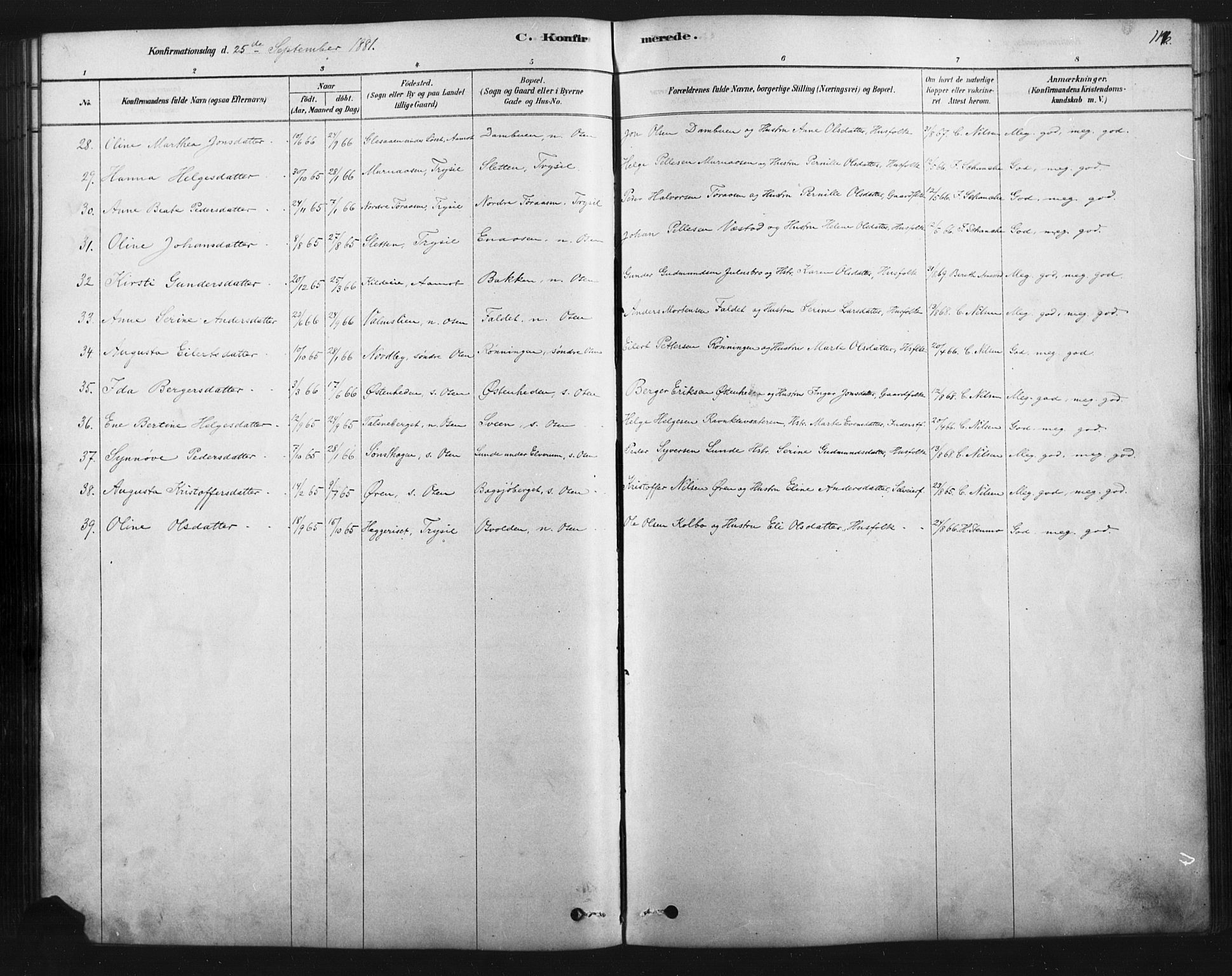 Åmot prestekontor, Hedmark, SAH/PREST-056/H/Ha/Haa/L0012: Parish register (official) no. 12, 1878-1901, p. 117