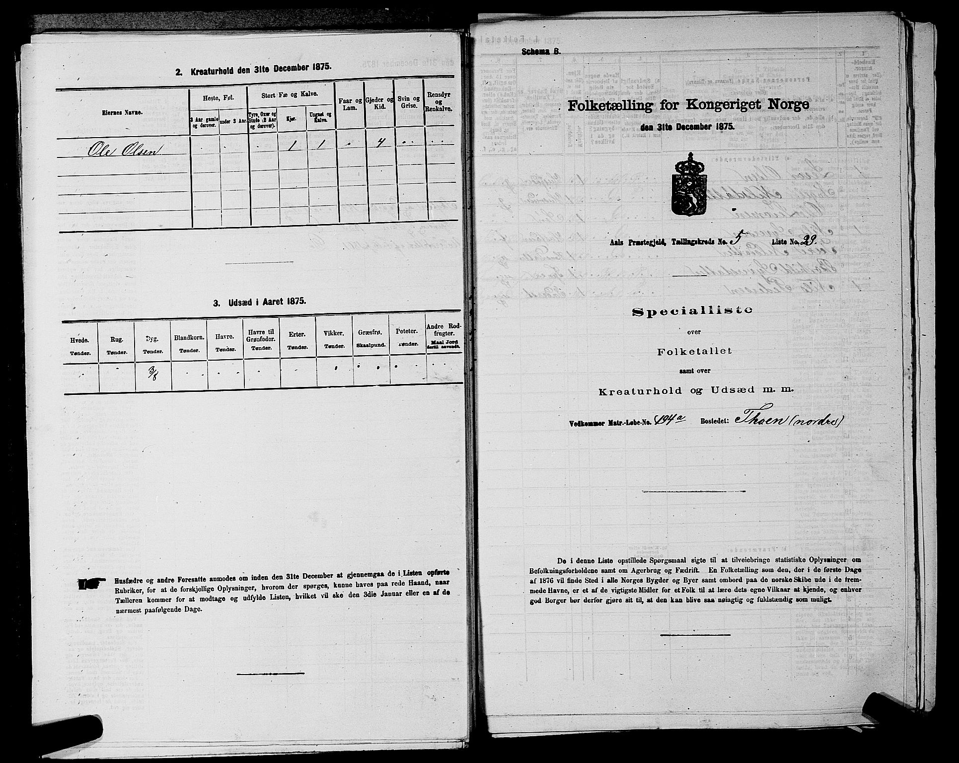 SAKO, 1875 census for 0619P Ål, 1875, p. 676