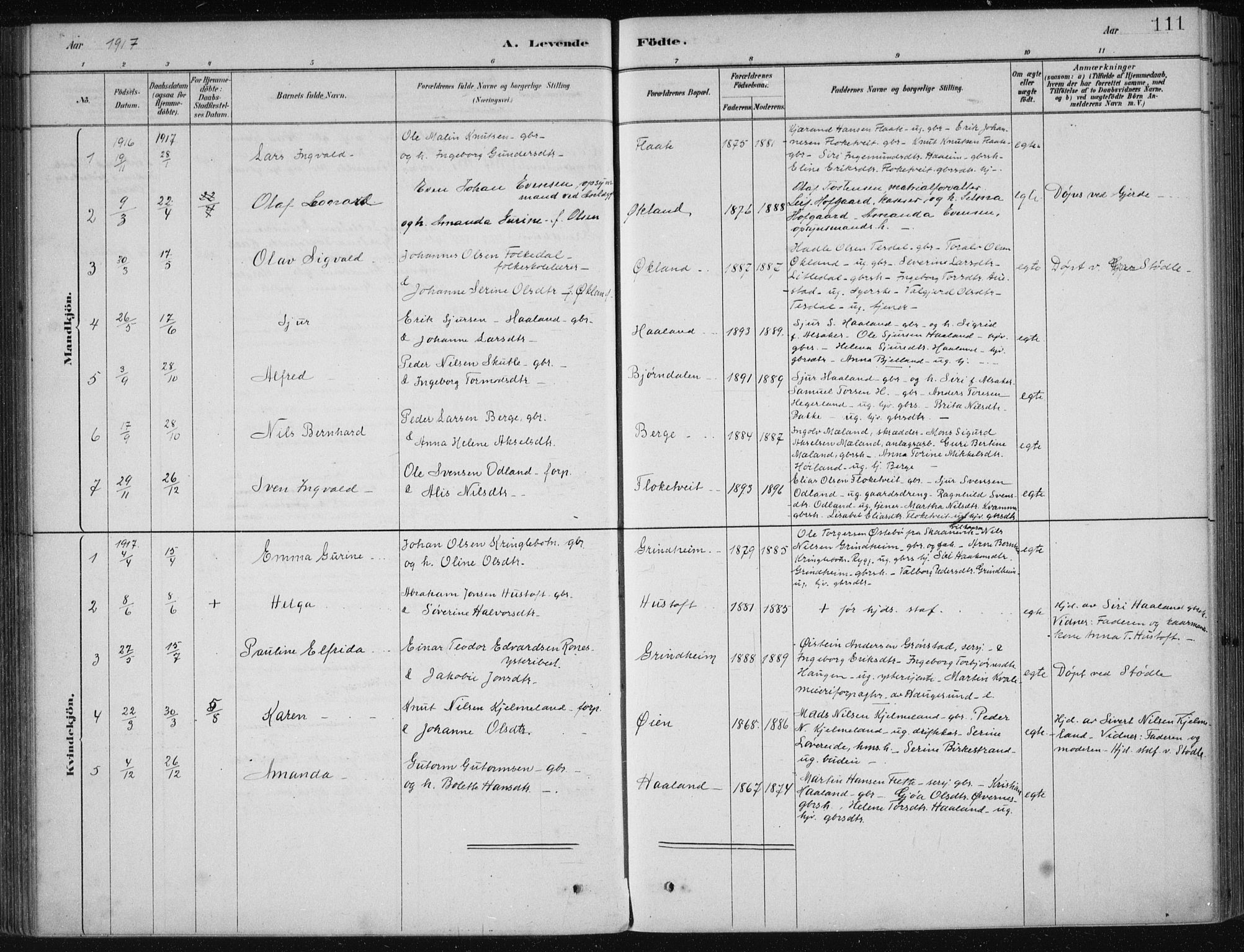 Etne sokneprestembete, AV/SAB-A-75001/H/Haa: Parish register (official) no. D  1, 1879-1919, p. 111