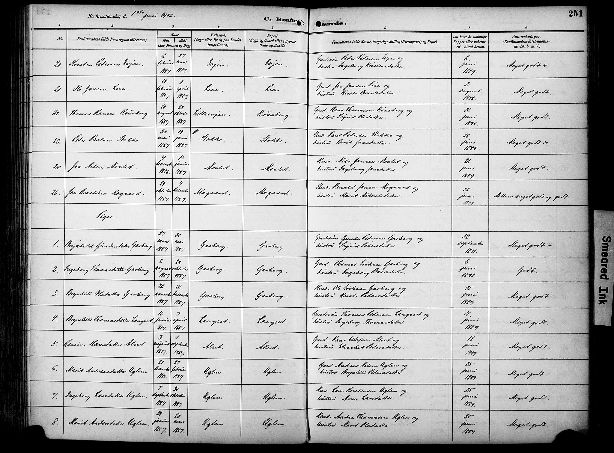 Ministerialprotokoller, klokkerbøker og fødselsregistre - Sør-Trøndelag, AV/SAT-A-1456/695/L1149: Parish register (official) no. 695A09, 1891-1902, p. 251