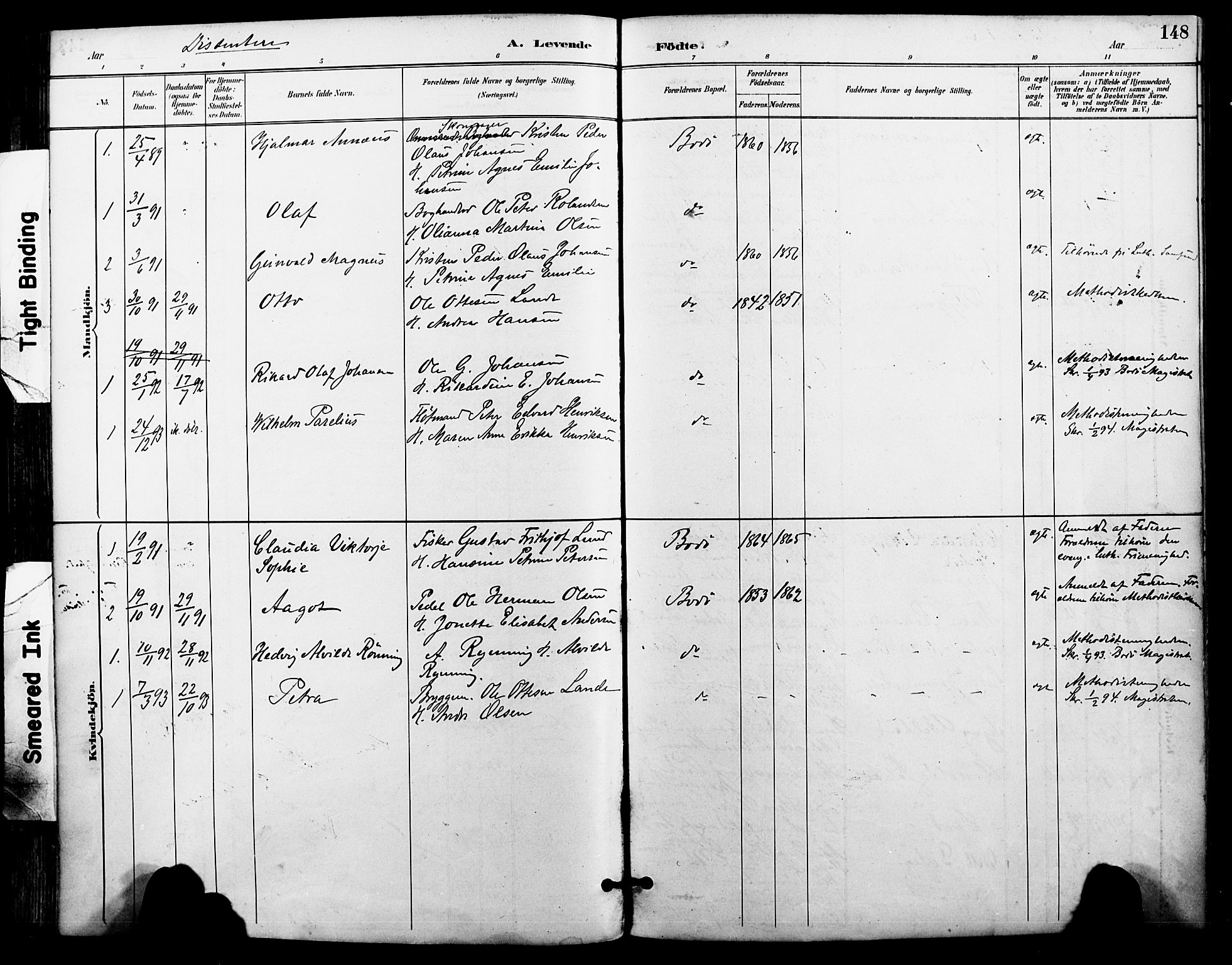Ministerialprotokoller, klokkerbøker og fødselsregistre - Nordland, SAT/A-1459/801/L0010: Parish register (official) no. 801A10, 1888-1899, p. 148