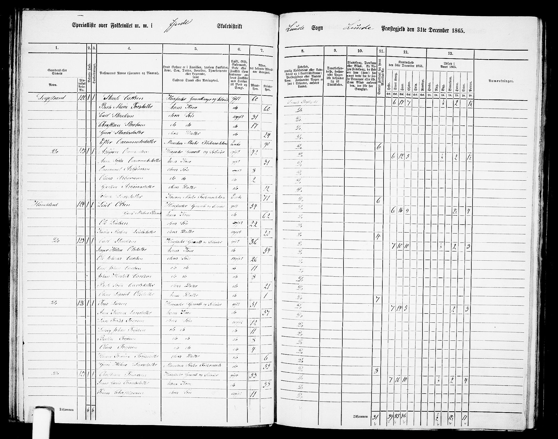 RA, 1865 census for Lund, 1865, p. 49