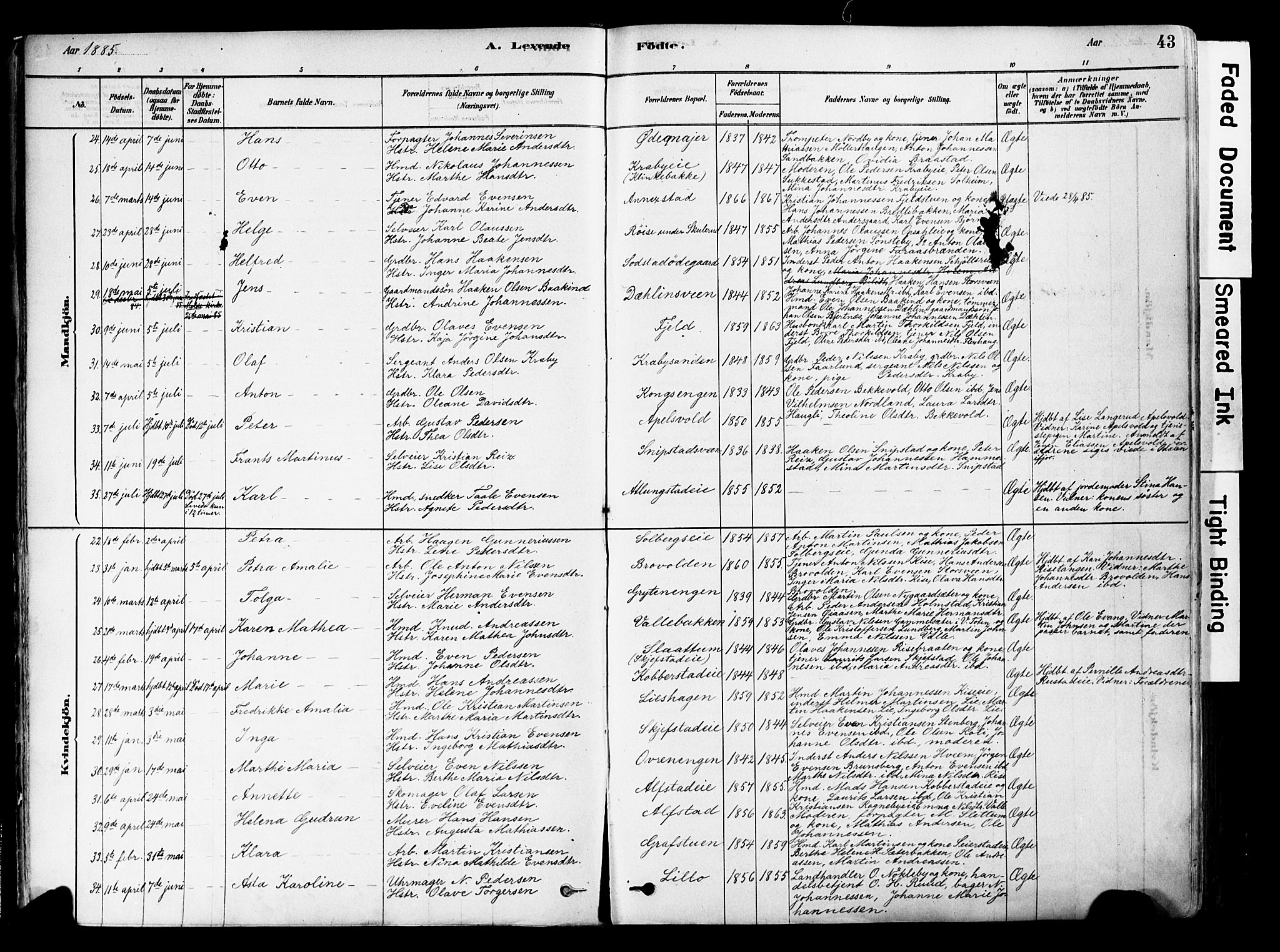 Østre Toten prestekontor, AV/SAH-PREST-104/H/Ha/Haa/L0006: Parish register (official) no. 6 /1, 1878-1896, p. 43