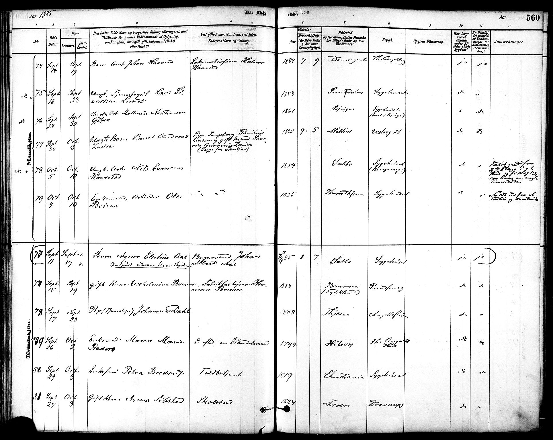 Ministerialprotokoller, klokkerbøker og fødselsregistre - Sør-Trøndelag, AV/SAT-A-1456/601/L0058: Parish register (official) no. 601A26, 1877-1891, p. 560