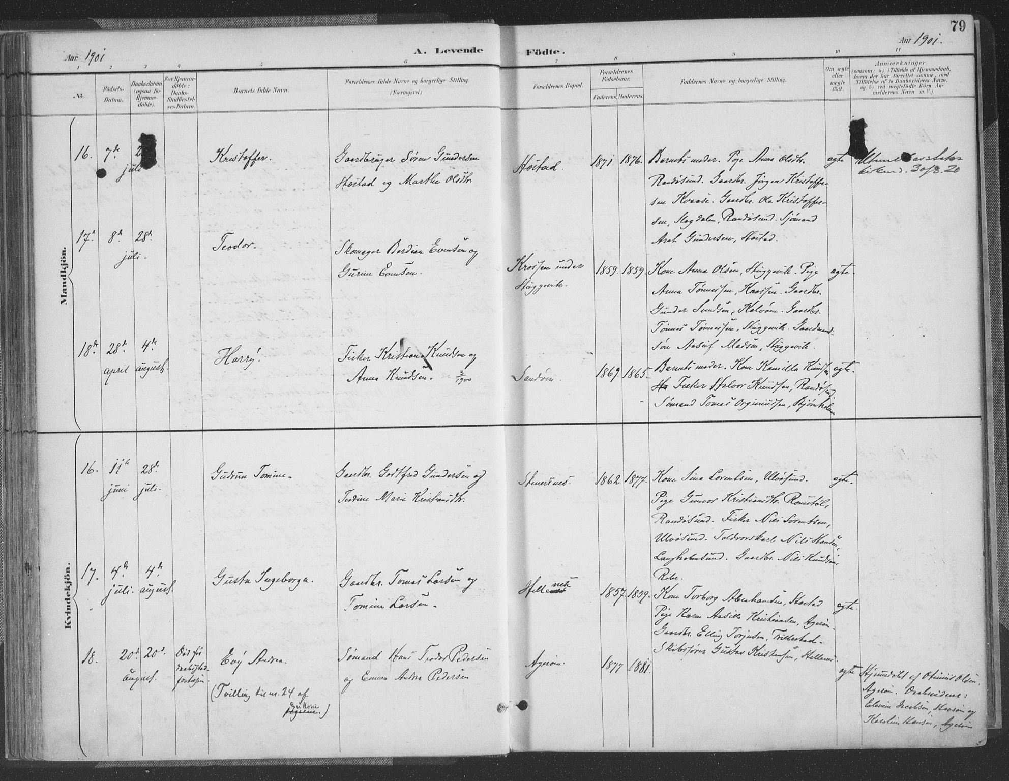 Høvåg sokneprestkontor, AV/SAK-1111-0025/F/Fa/L0006: Parish register (official) no. A 6, 1894-1923, p. 79