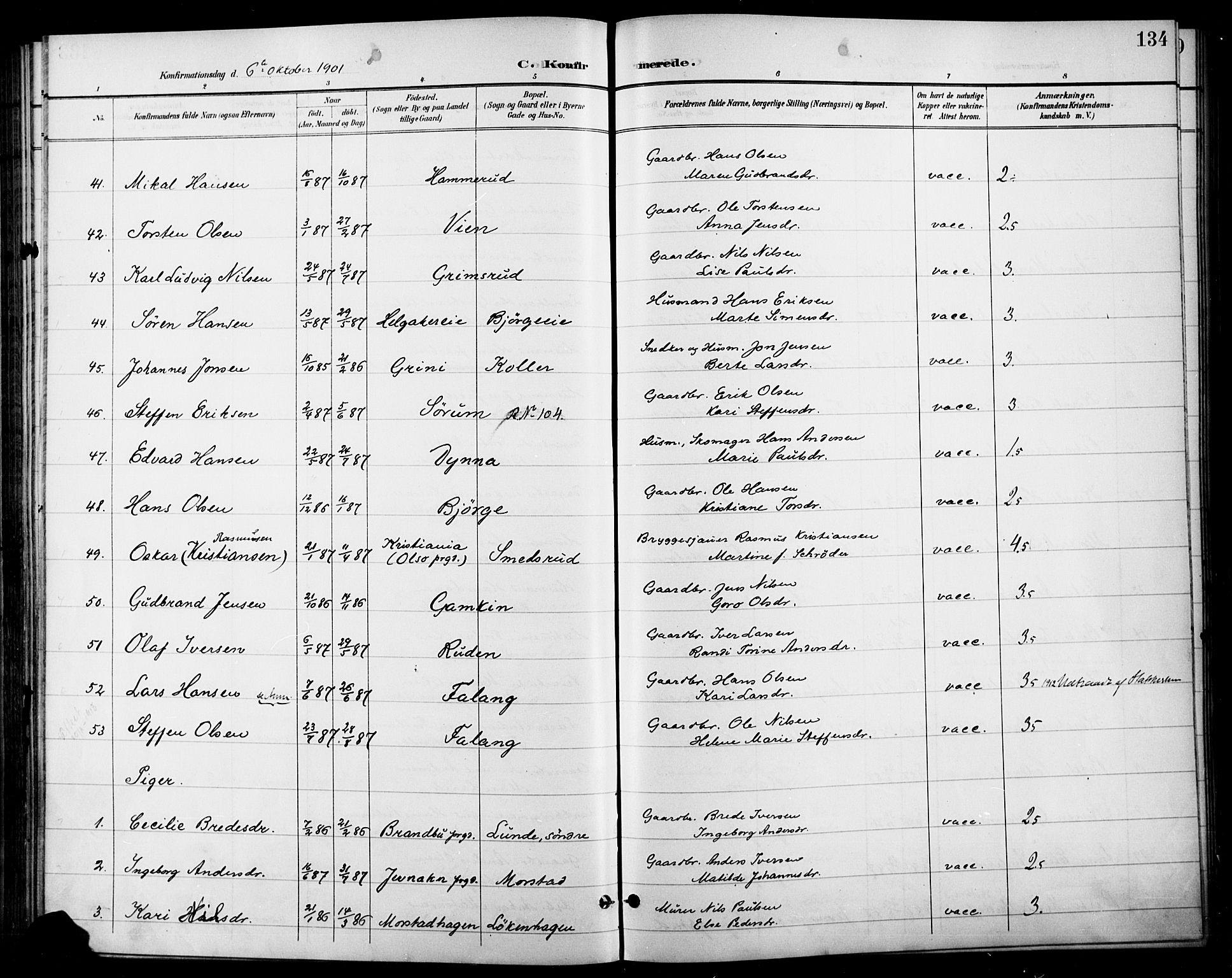 Gran prestekontor, SAH/PREST-112/H/Ha/Haa/L0019: Parish register (official) no. 19, 1898-1907, p. 134