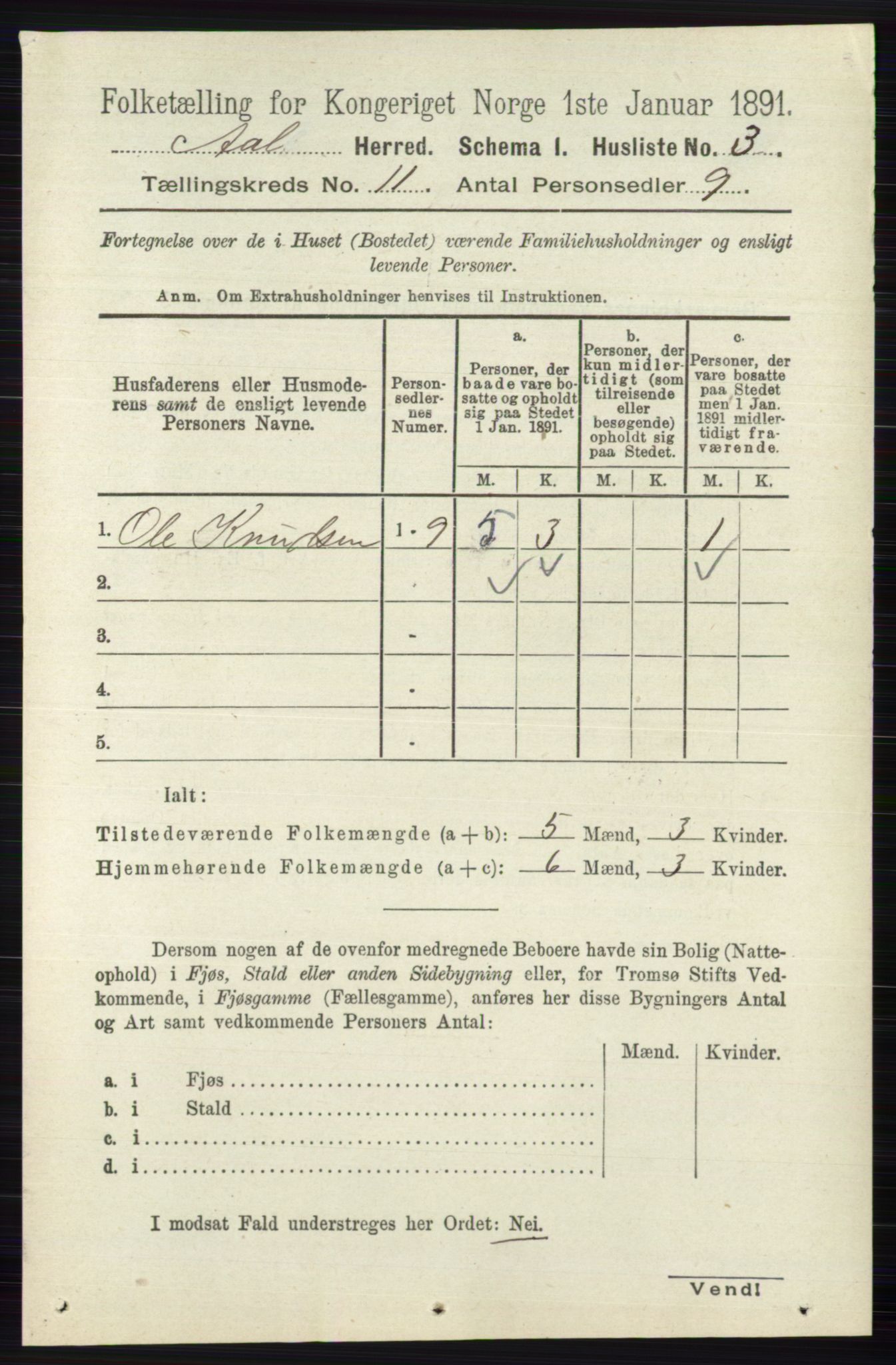 RA, 1891 census for 0619 Ål, 1891, p. 2851