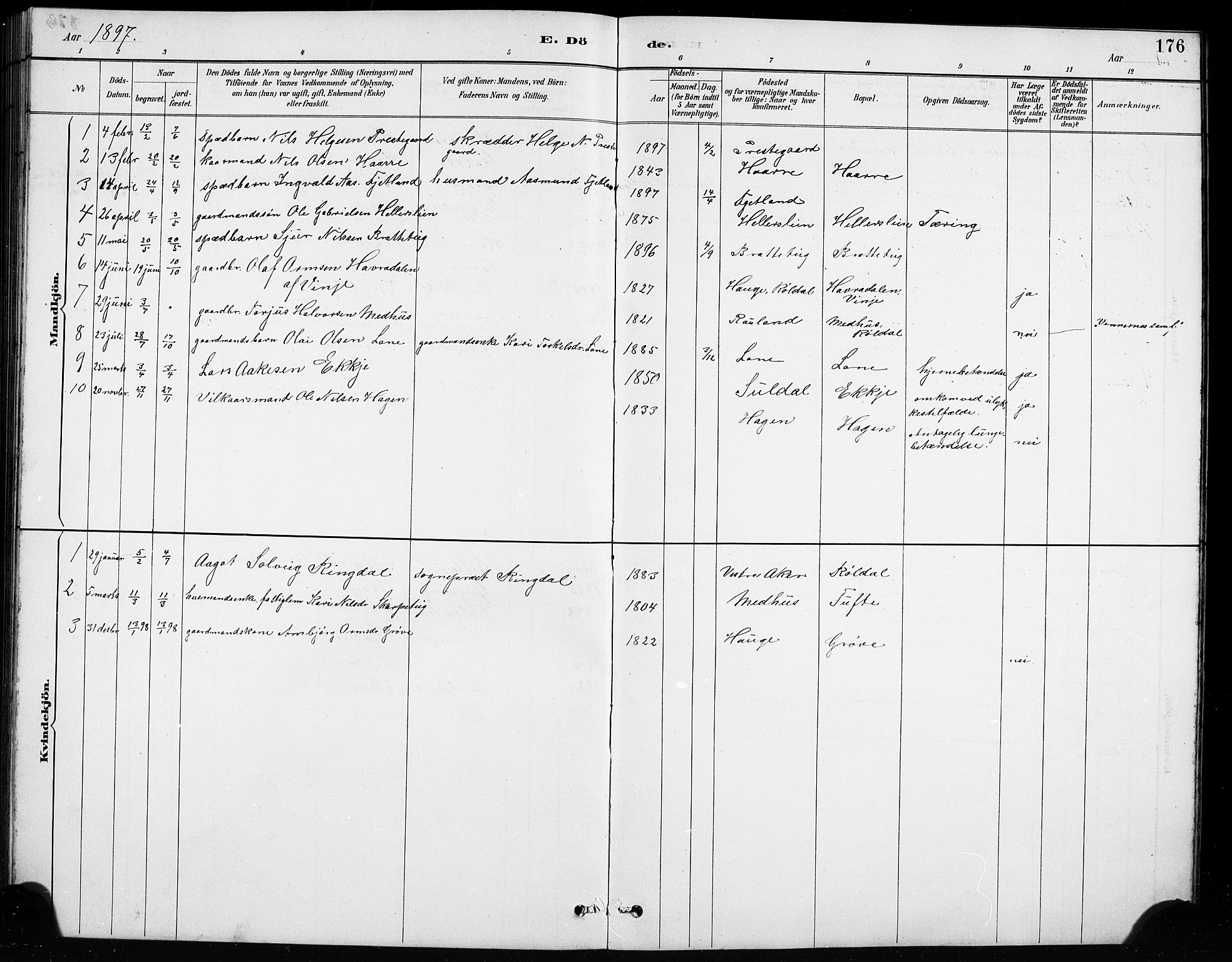 Røldal sokneprestembete, SAB/A-100247: Parish register (copy) no. A 3, 1887-1917, p. 176