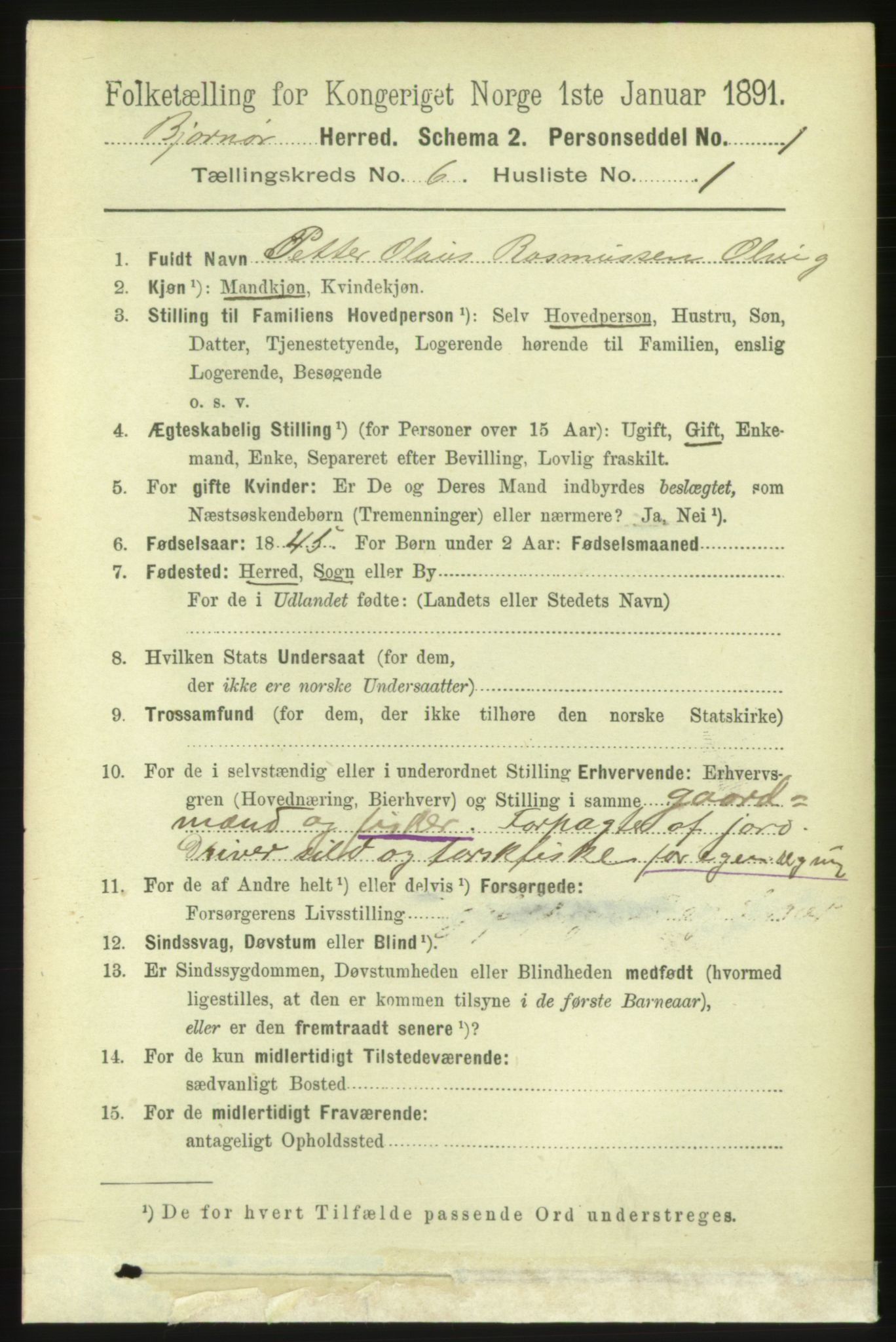 RA, 1891 census for 1632 Bjørnør, 1891, p. 2582