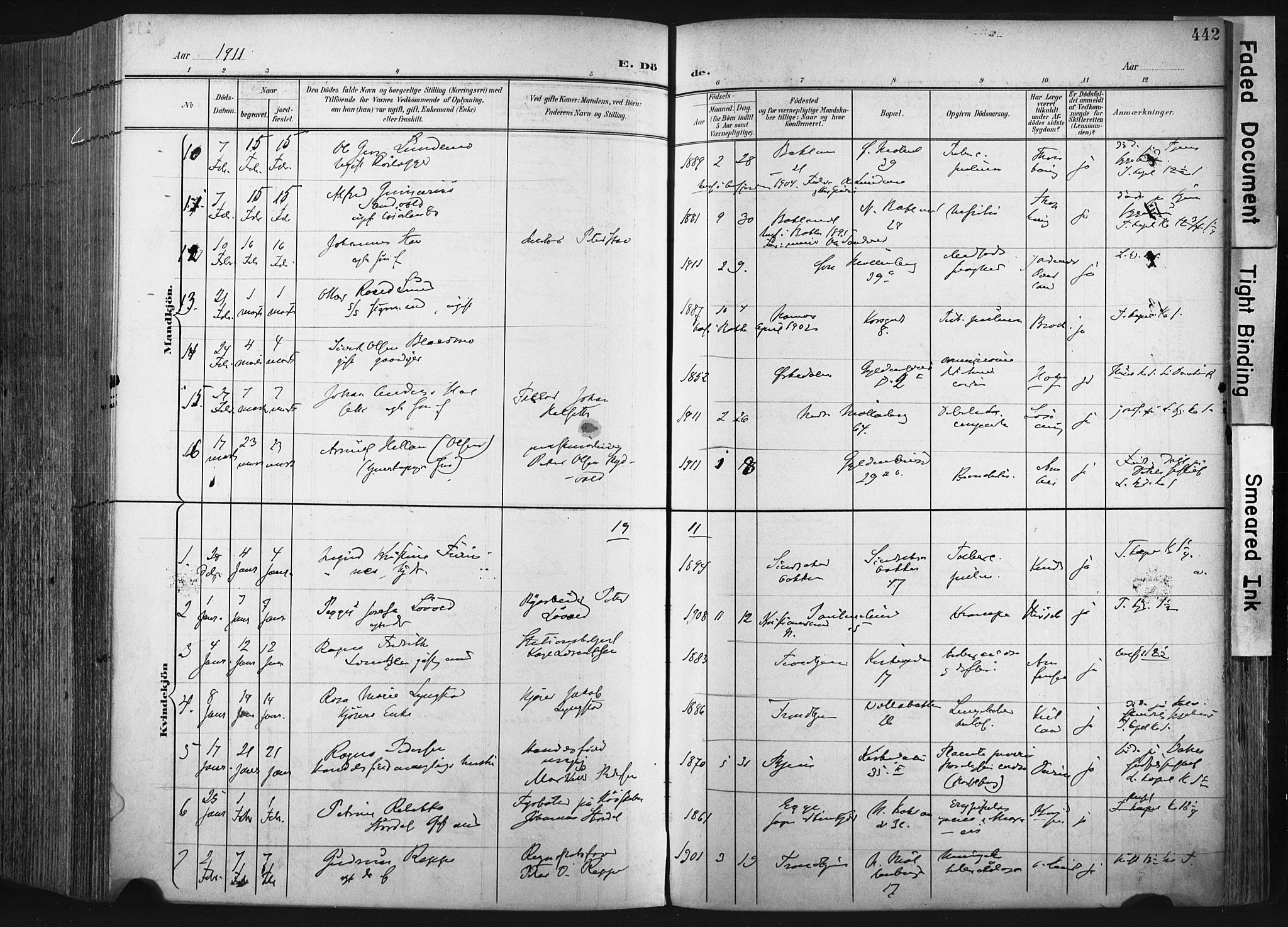 Ministerialprotokoller, klokkerbøker og fødselsregistre - Sør-Trøndelag, SAT/A-1456/604/L0201: Parish register (official) no. 604A21, 1901-1911, p. 442