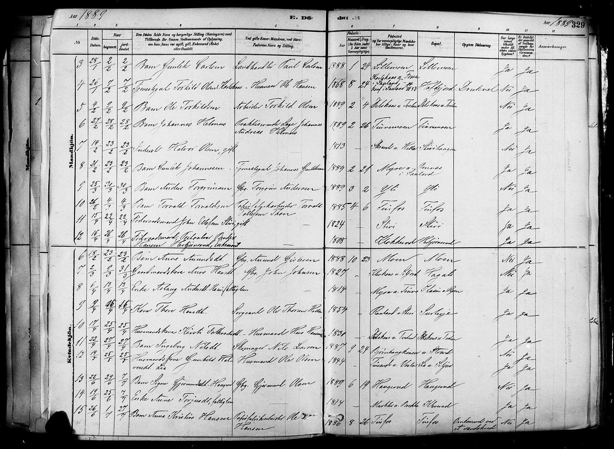 Heddal kirkebøker, SAKO/A-268/F/Fa/L0008: Parish register (official) no. I 8, 1878-1903, p. 329