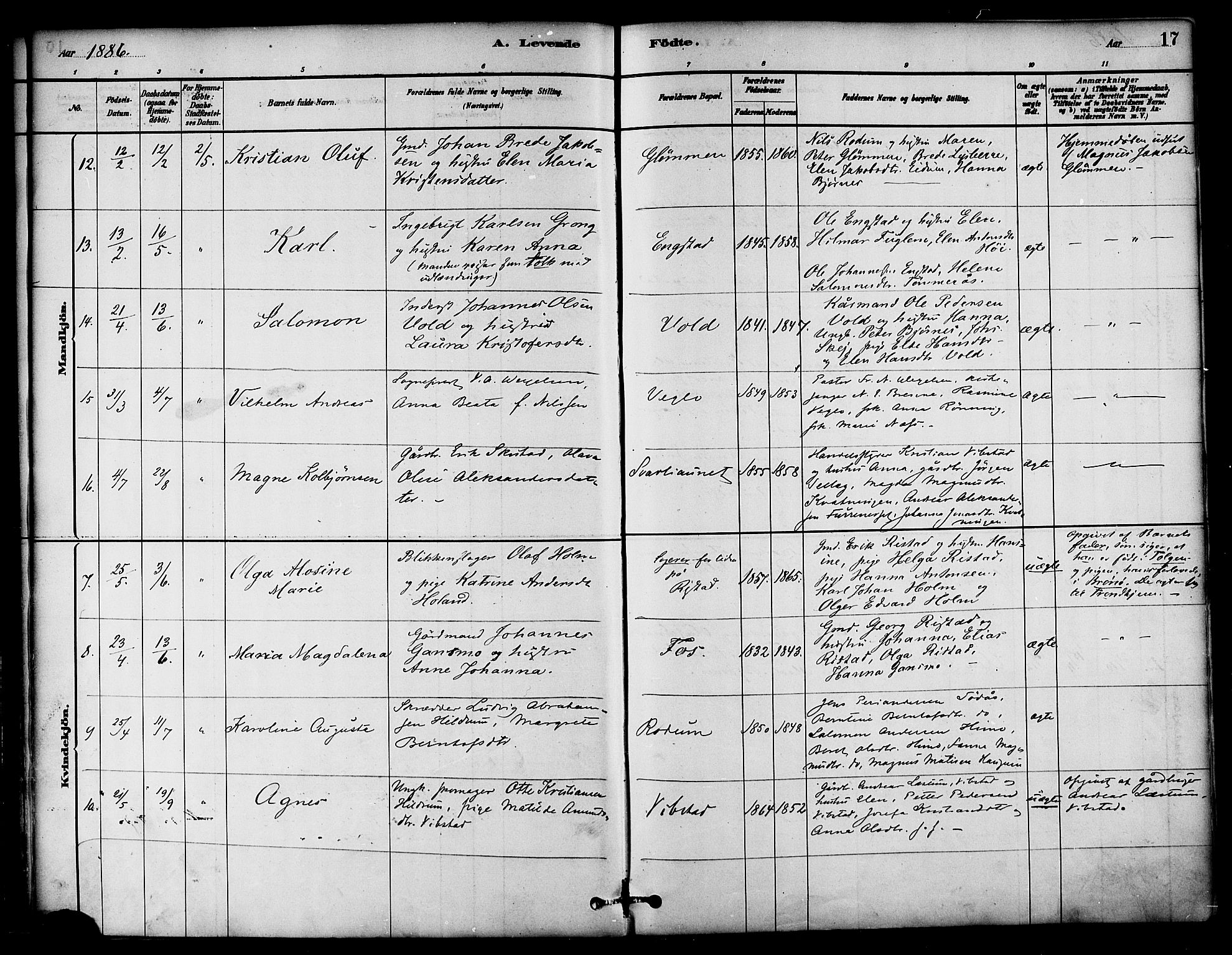 Ministerialprotokoller, klokkerbøker og fødselsregistre - Nord-Trøndelag, AV/SAT-A-1458/764/L0555: Parish register (official) no. 764A10, 1881-1896, p. 17