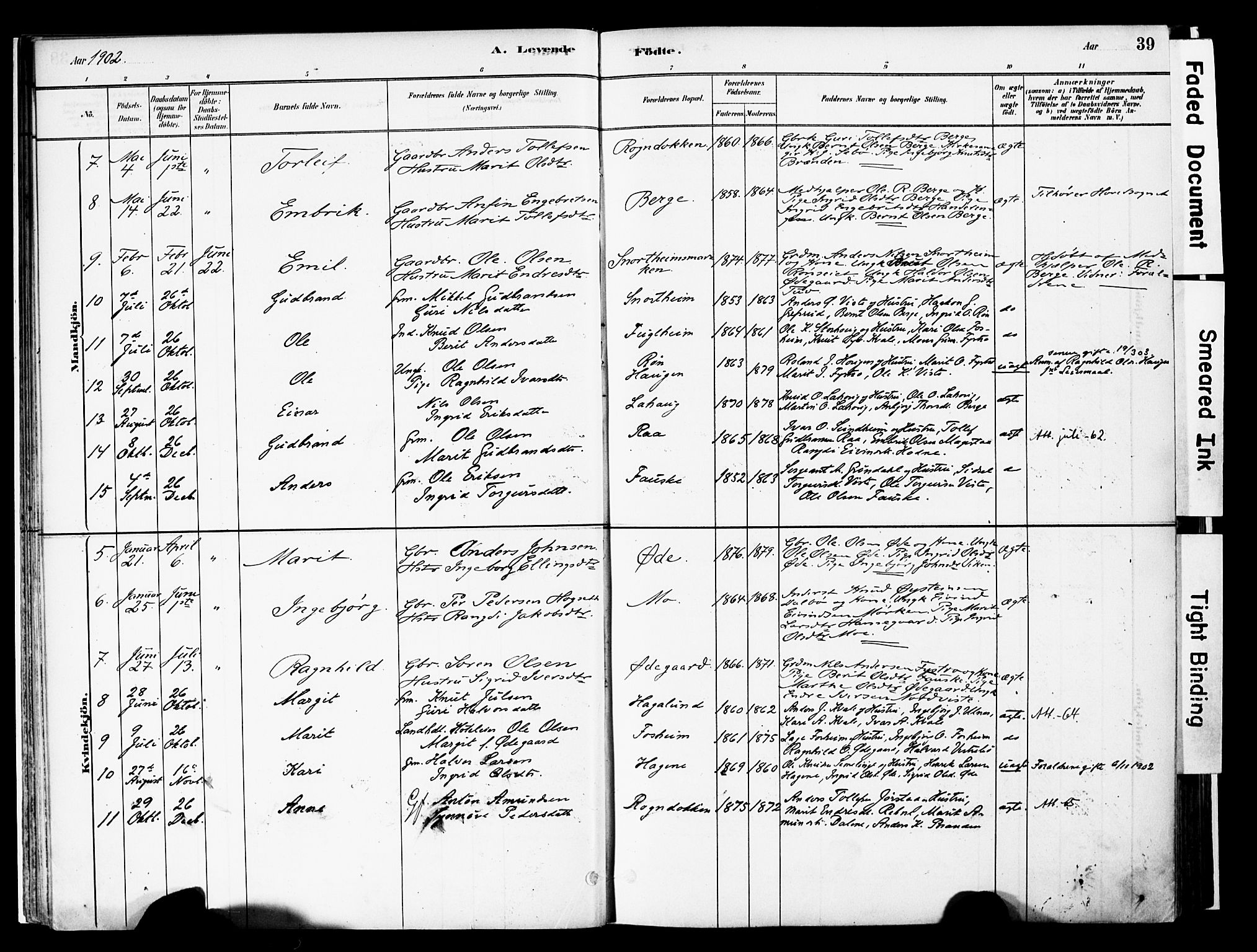 Vestre Slidre prestekontor, SAH/PREST-136/H/Ha/Haa/L0006: Parish register (official) no. 6, 1881-1912, p. 39